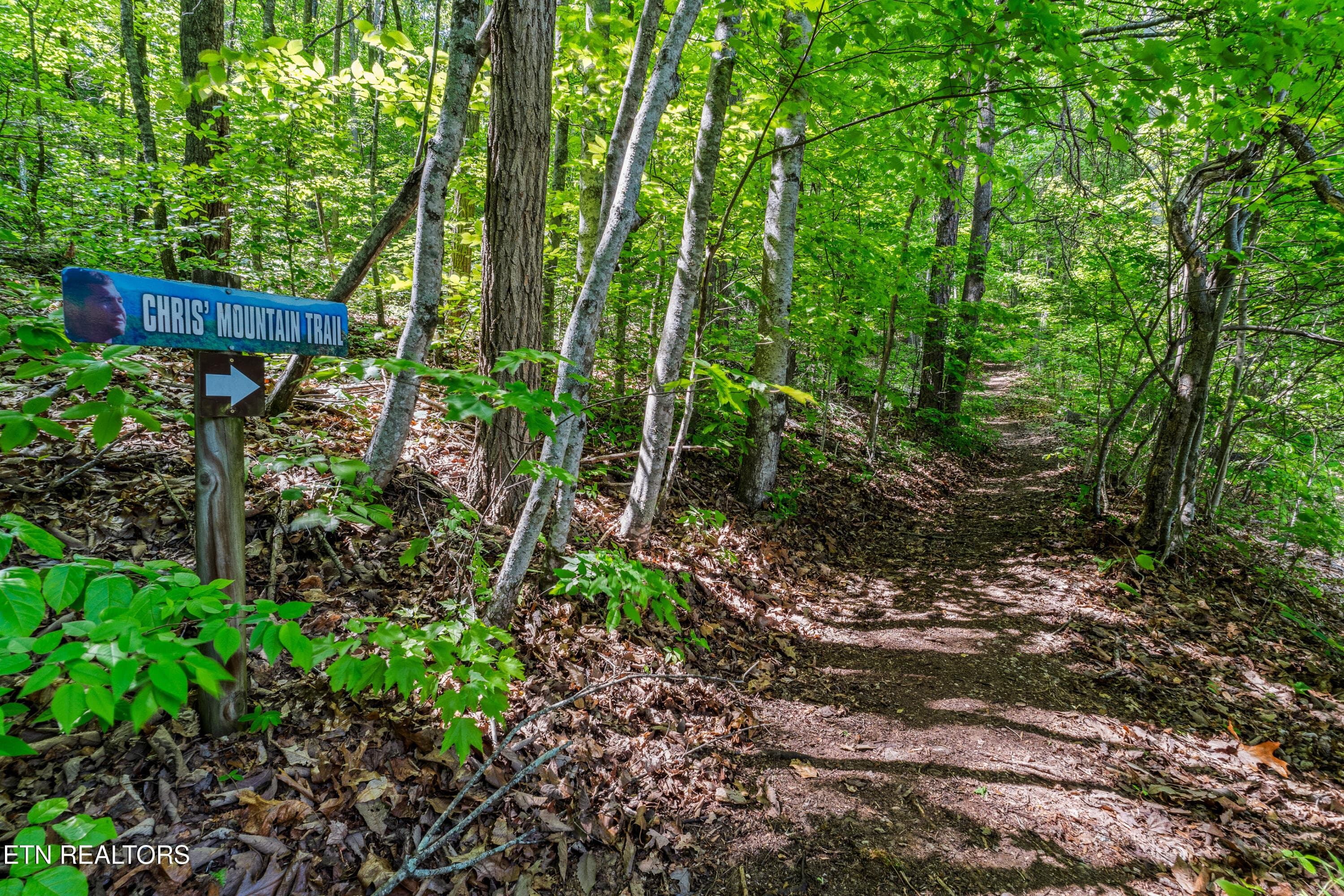 DSC04900 - 1043 Reagan Springs Rd, Townsend, TN 37882