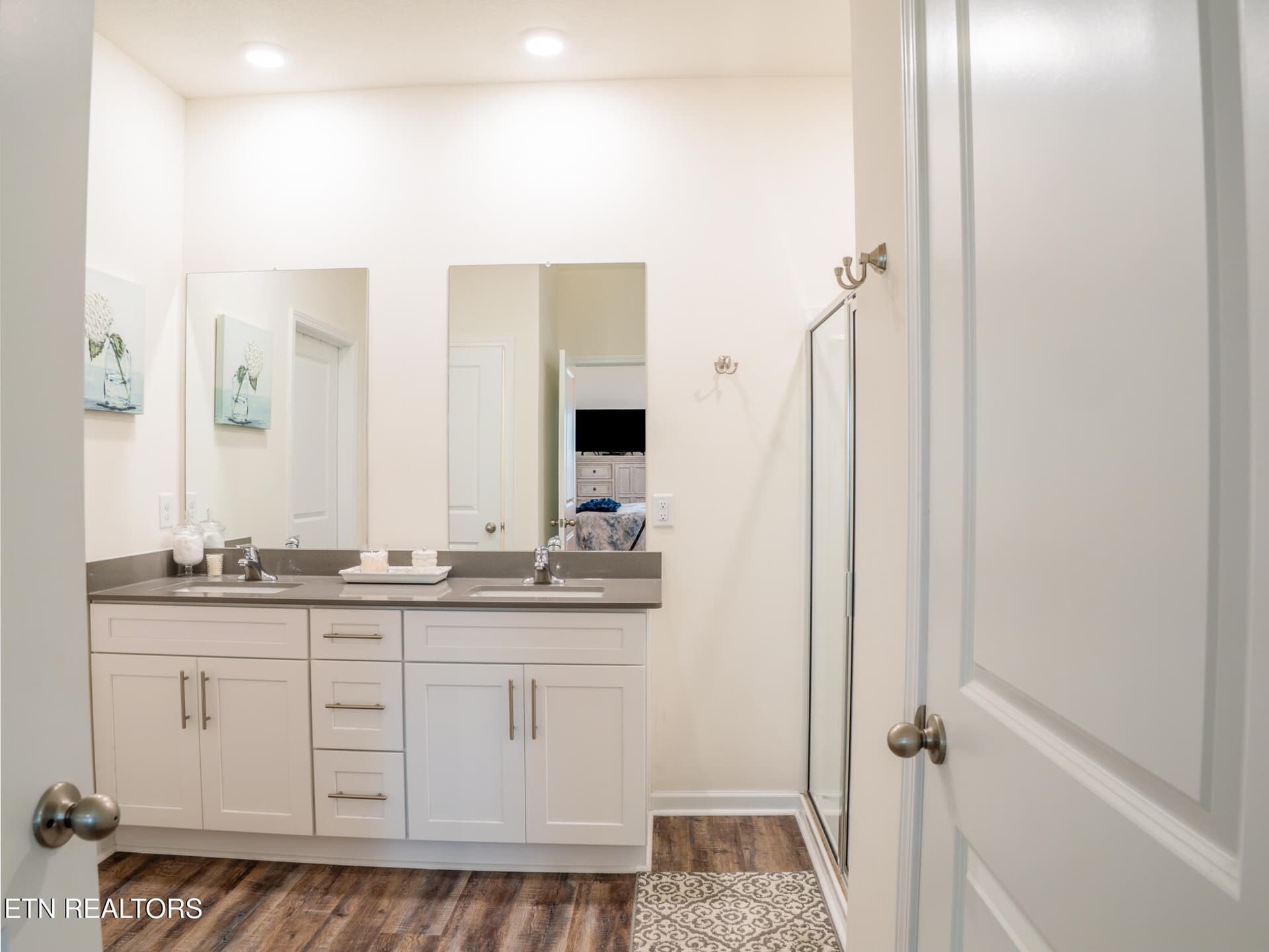 Ensuite - 142 Thistle Drive, Bluff City, TN 37618