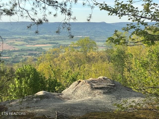 IMG_0074 - 0 Gray Rock View, Pikeville, TN 37367