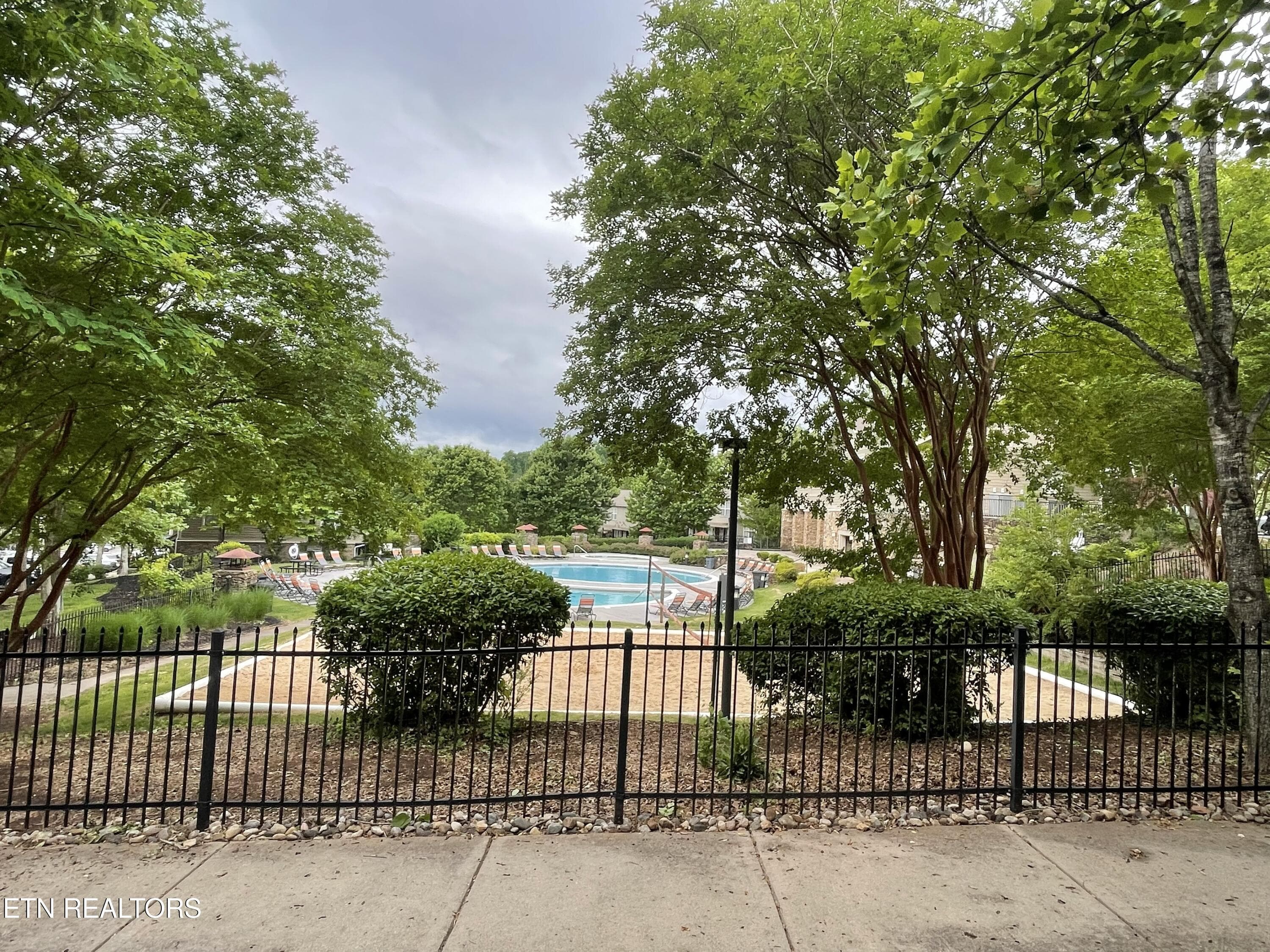 Pool and Volleyball View - 3831 Cherokee Woods Way 102, Knoxville, TN 37920, Knoxville