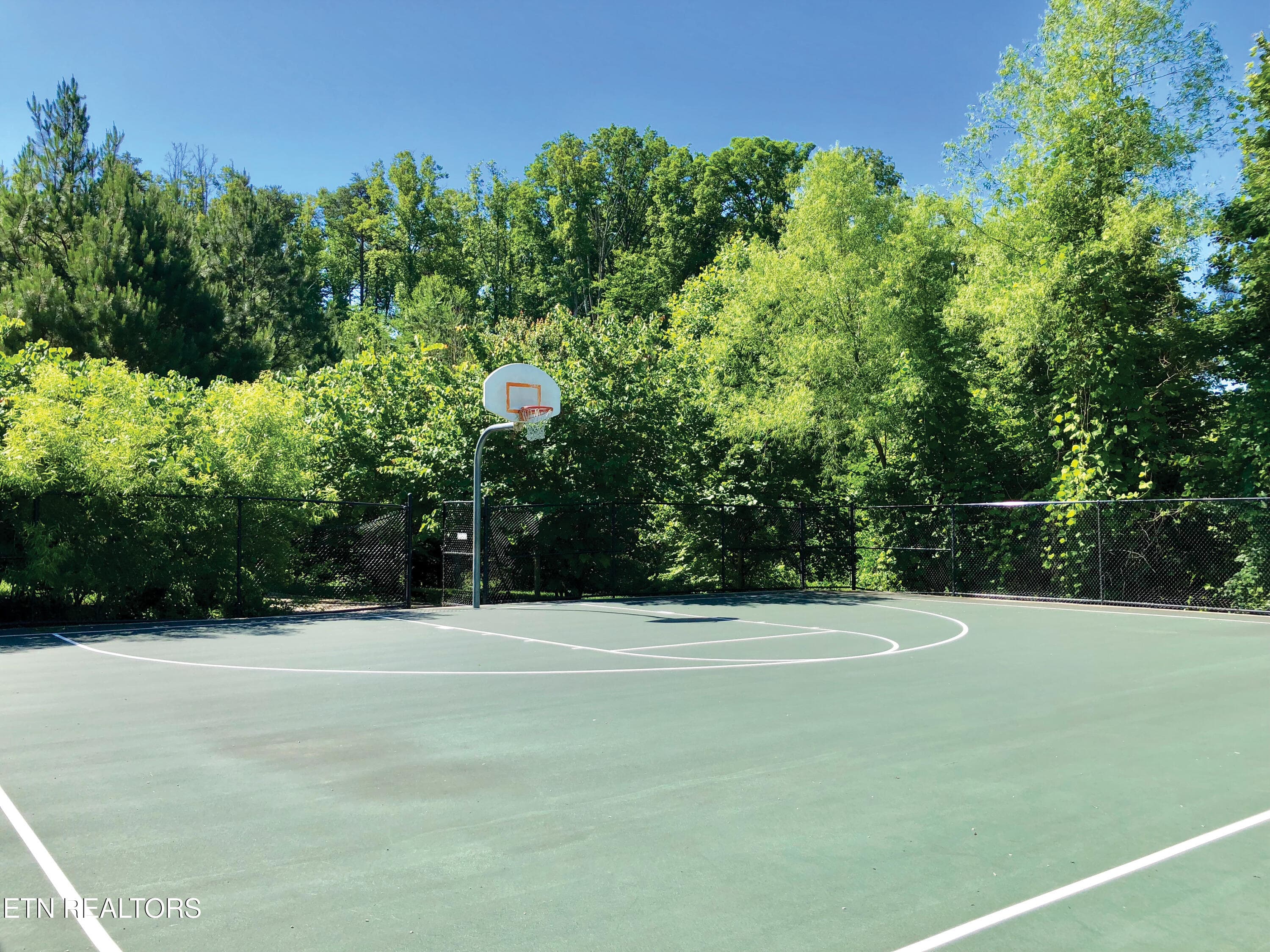 Basketball Court - 3831 Cherokee Woods Way 102, Knoxville, TN 37920, Knoxville
