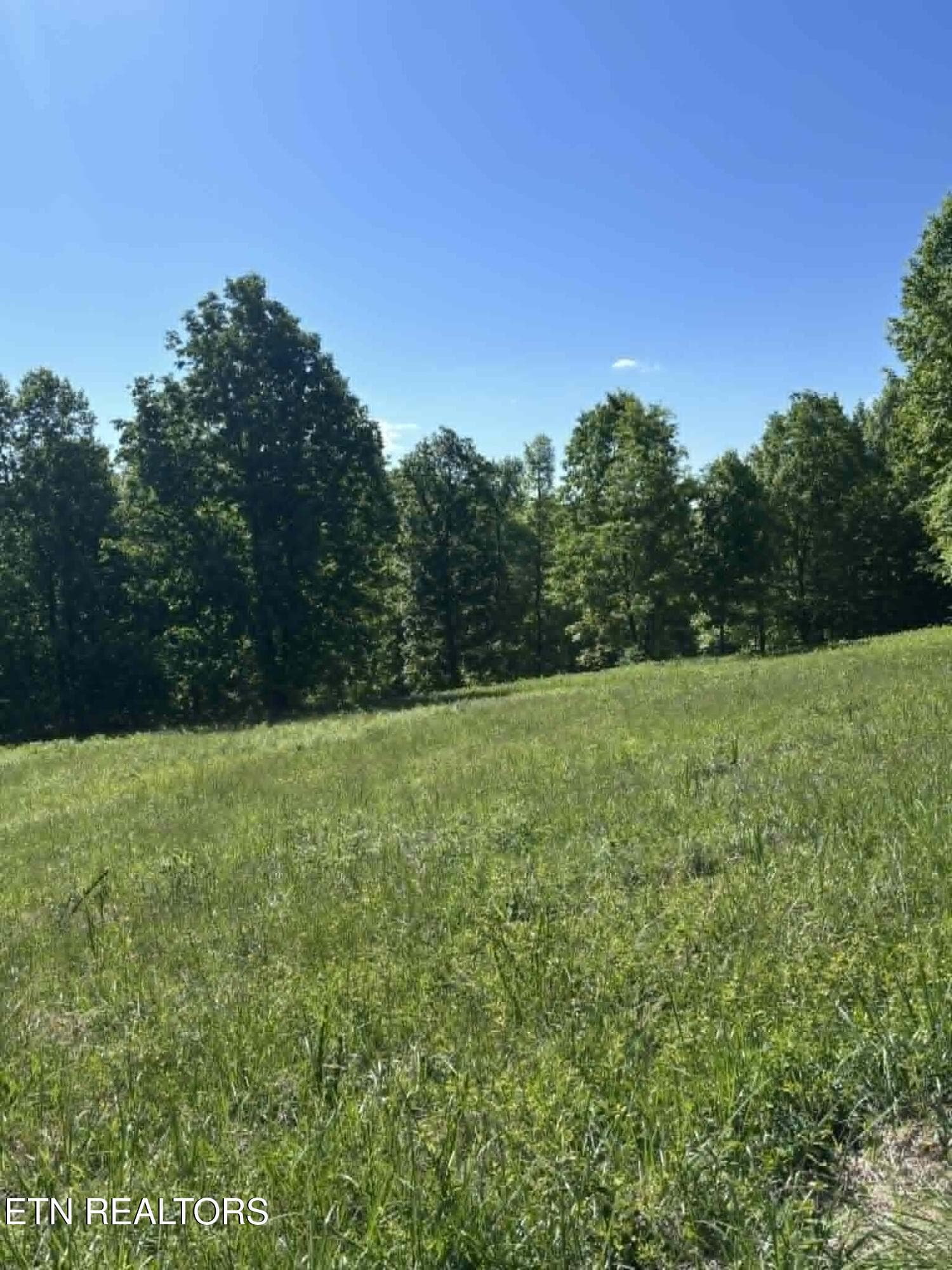 5d5e39ac-7004-4b05-948a-b12b2a6819bb - 407 Earl Maples Lane, Tazewell, TN 37879, Tazewell