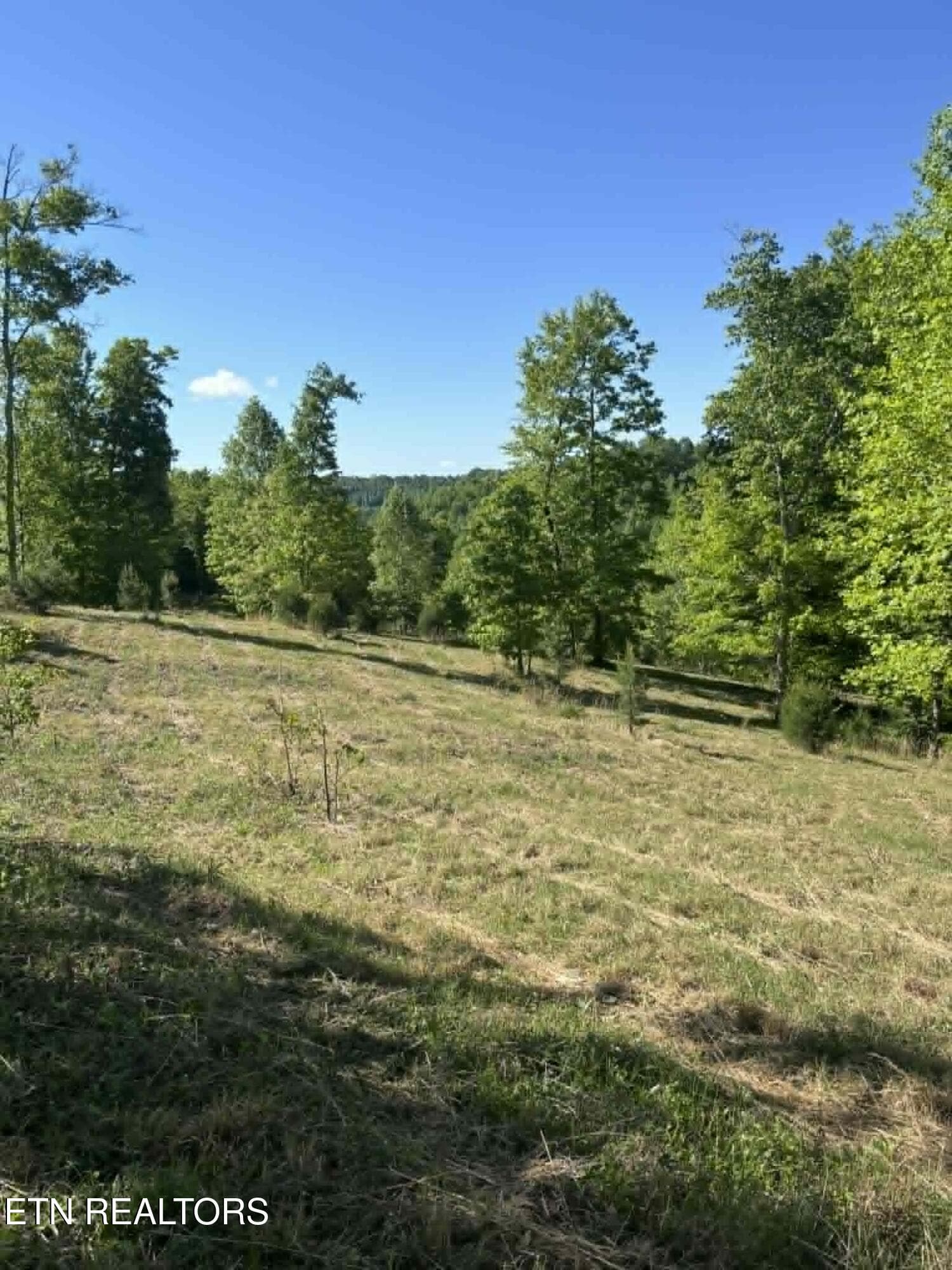747e2f5c-b186-449b-831e-67327e47f0e7 - 407 Earl Maples Lane, Tazewell, TN 37879, Tazewell