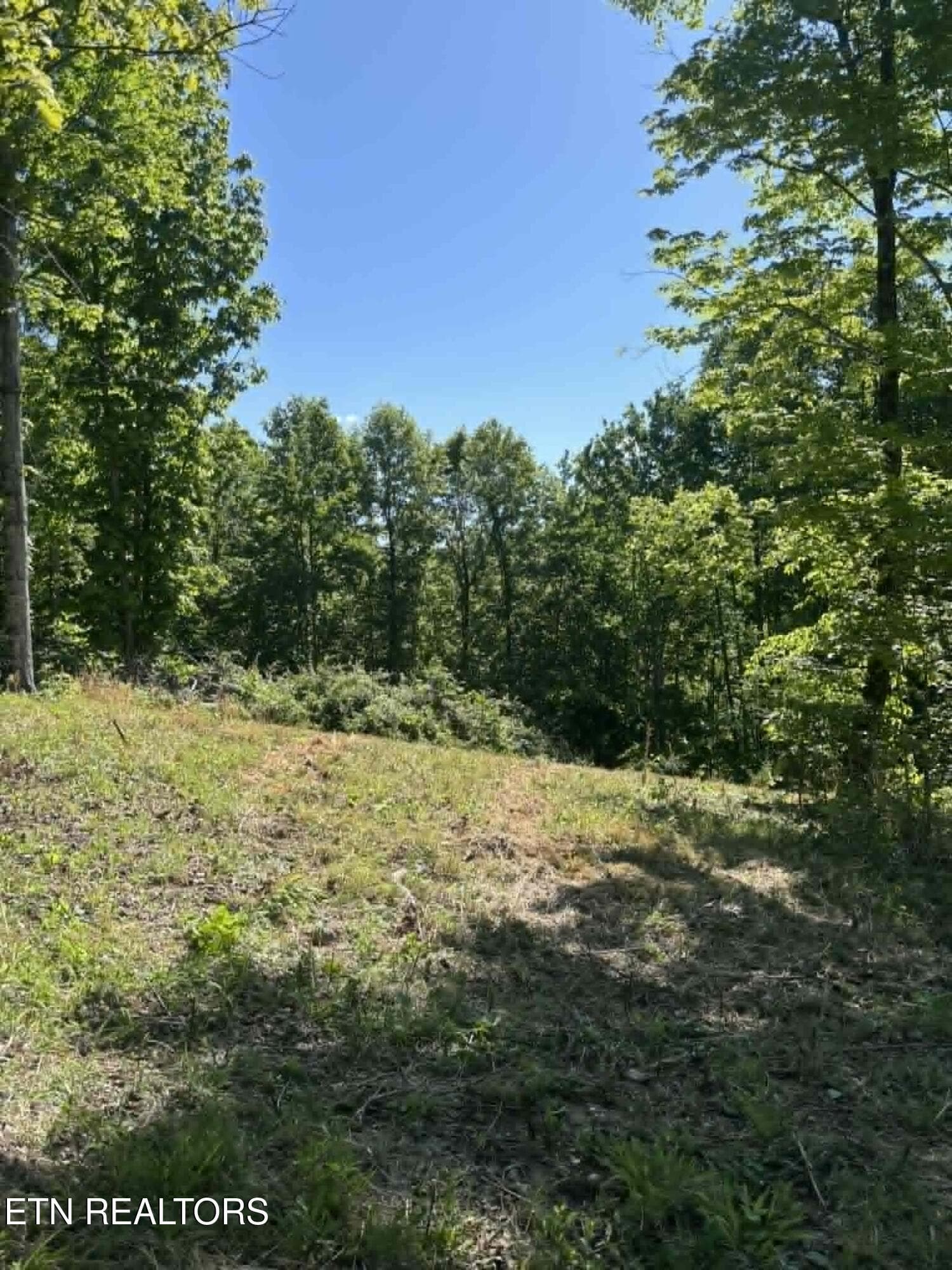 12204f38-db29-436e-aaa9-9b8b9f3e8b75 - 407 Earl Maples Lane, Tazewell, TN 37879, Tazewell