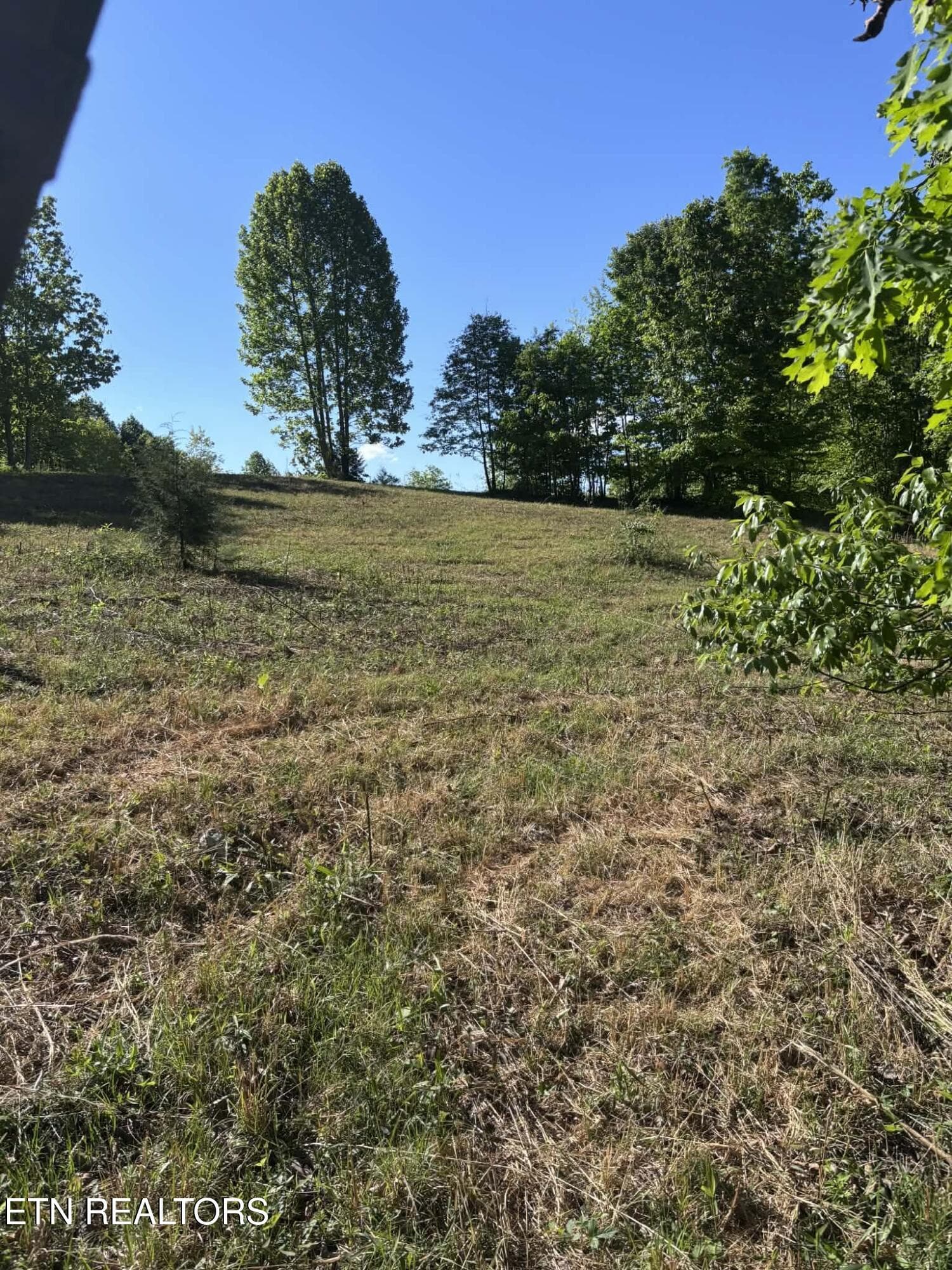 60524443-cf56-4402-a33d-cadf5635fc20 - 407 Earl Maples Lane, Tazewell, TN 37879, Tazewell
