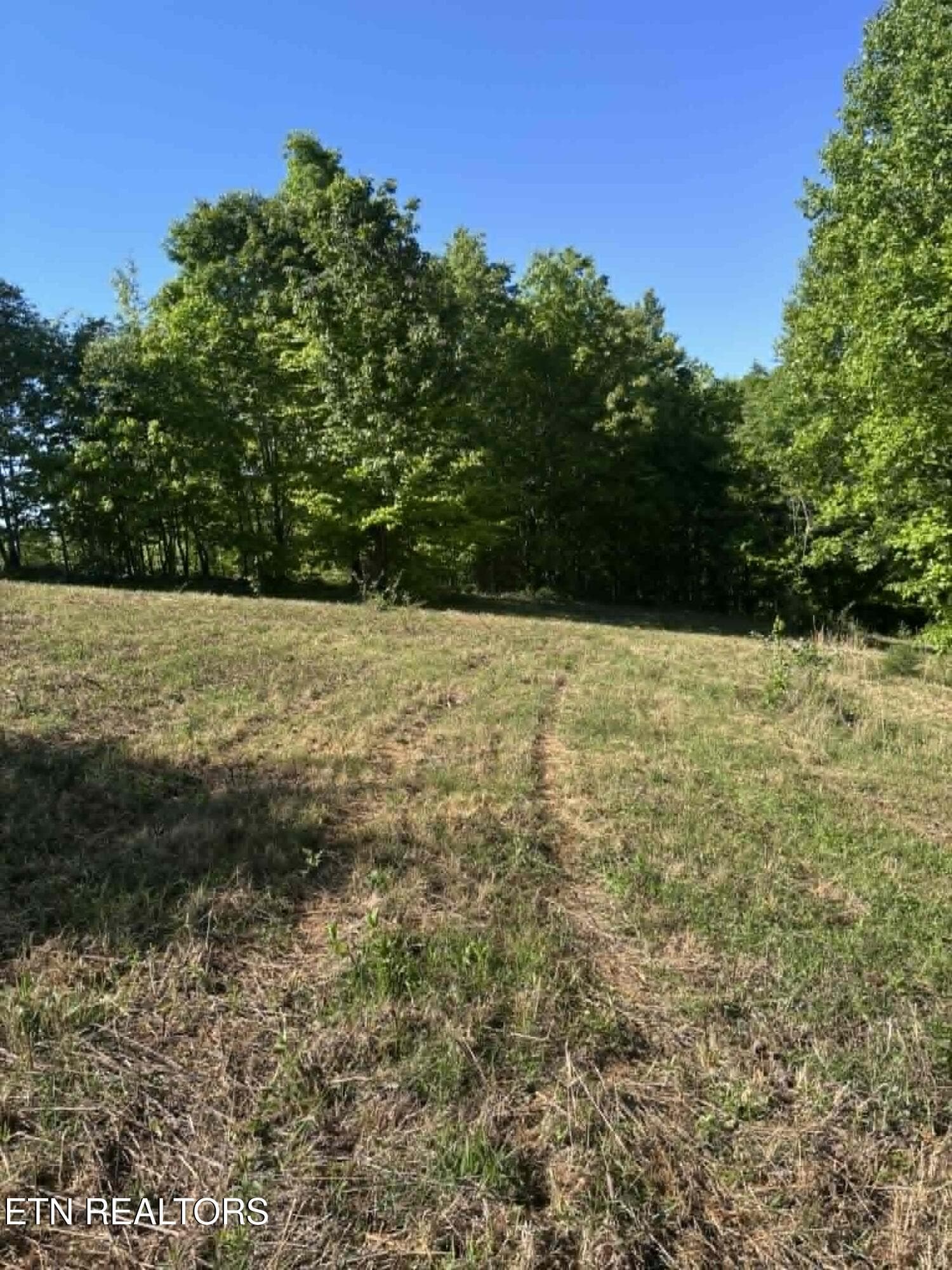 95010370-f83b-4335-a8a2-b987290721a0 - 407 Earl Maples Lane, Tazewell, TN 37879, Tazewell