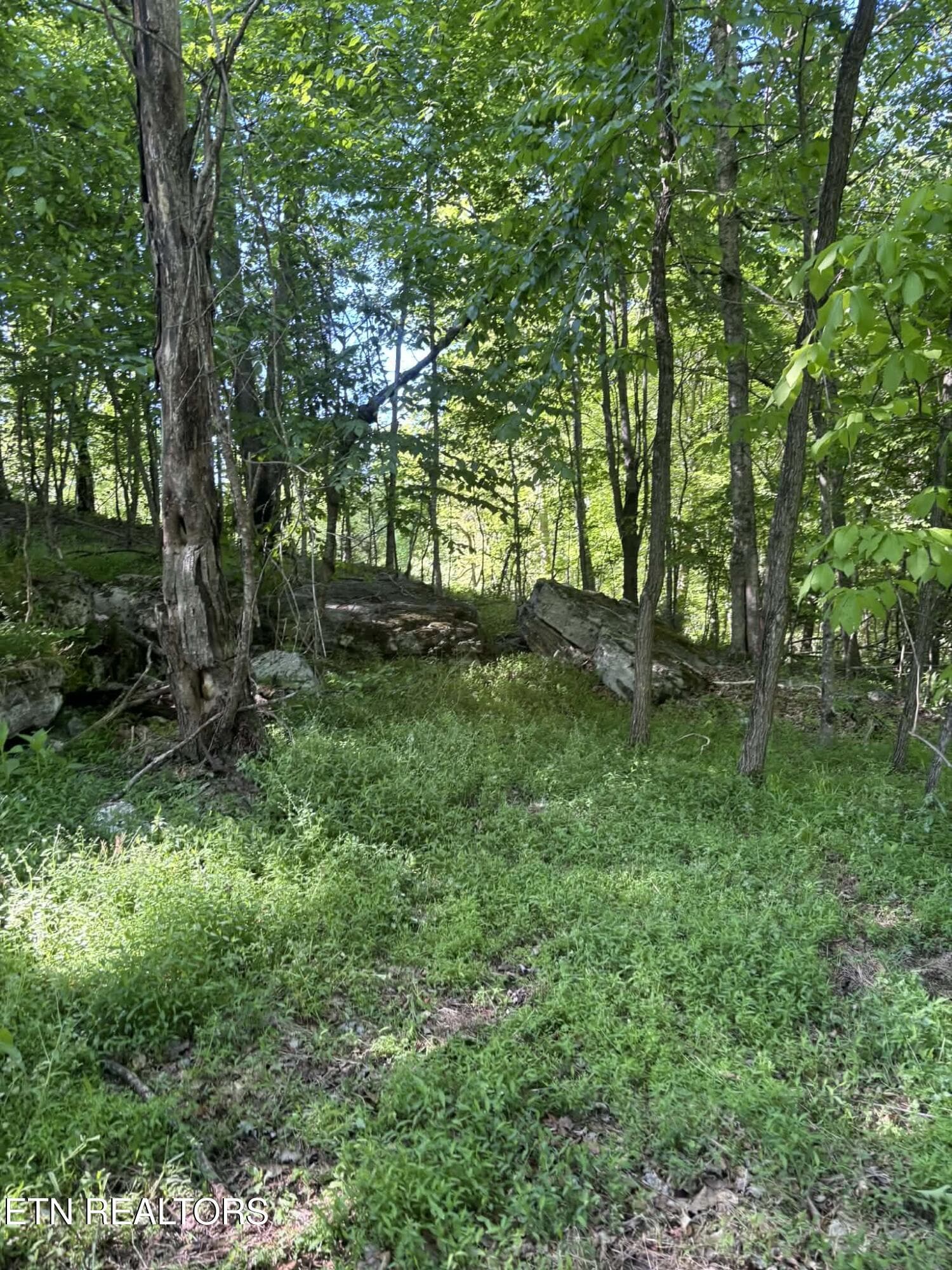 ad72b828-367b-4a49-a6db-63b76dfe819b - 407 Earl Maples Lane, Tazewell, TN 37879, Tazewell