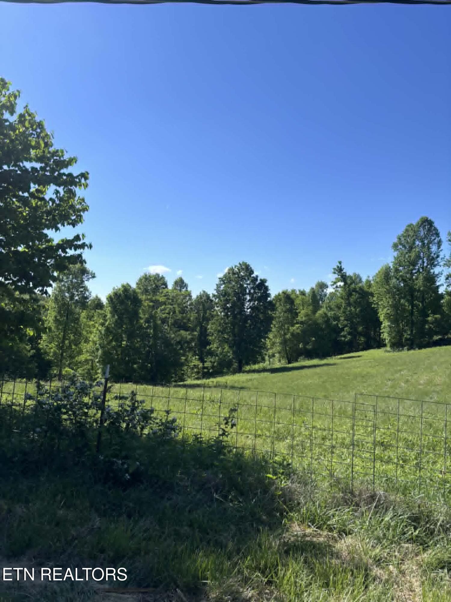 b35154da-a1f3-416c-a94d-031539d14184 - 407 Earl Maples Lane, Tazewell, TN 37879, Tazewell