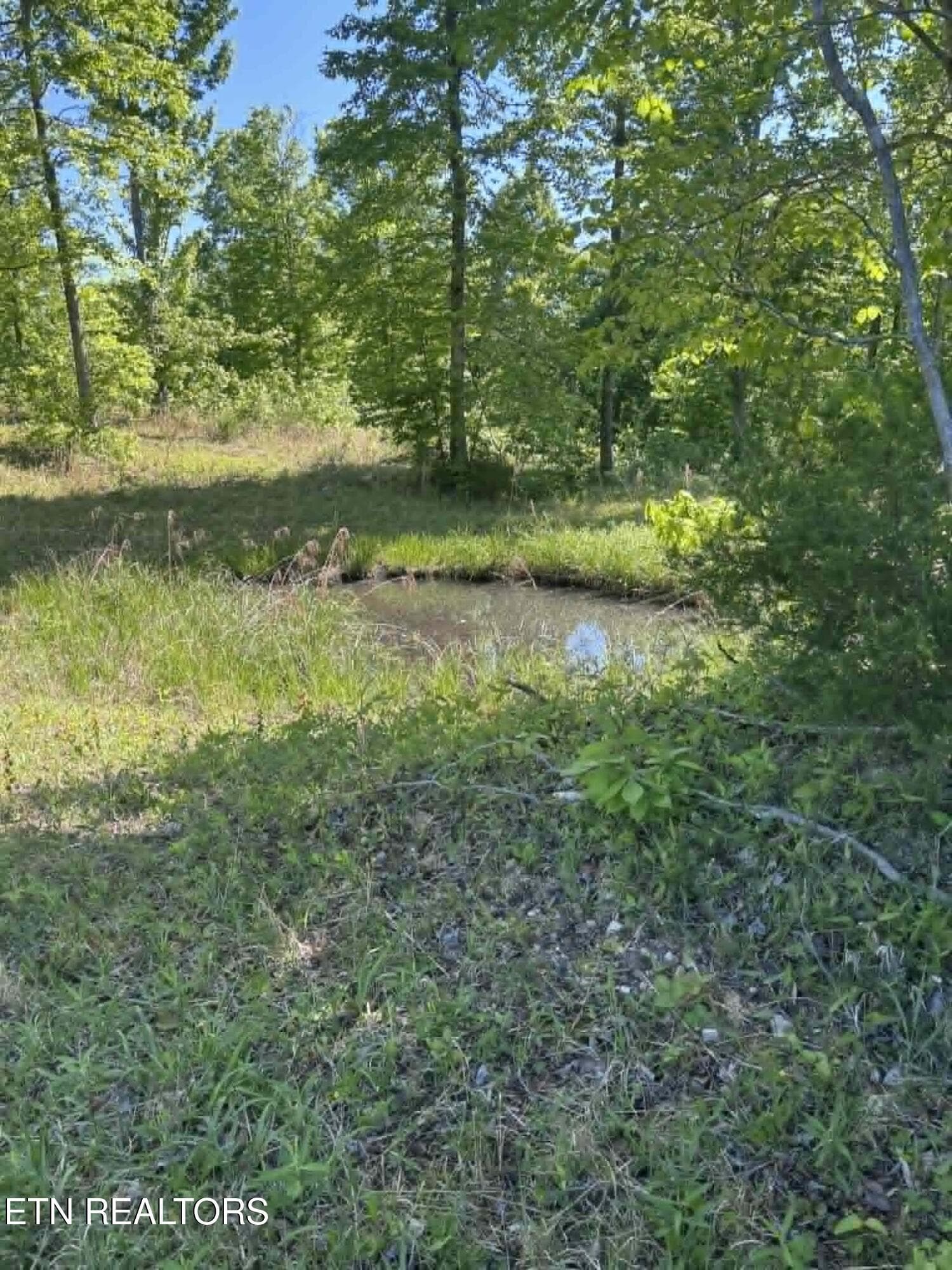 c038482b-7bd2-4ddb-a833-77a198f03c49 - 407 Earl Maples Lane, Tazewell, TN 37879, Tazewell