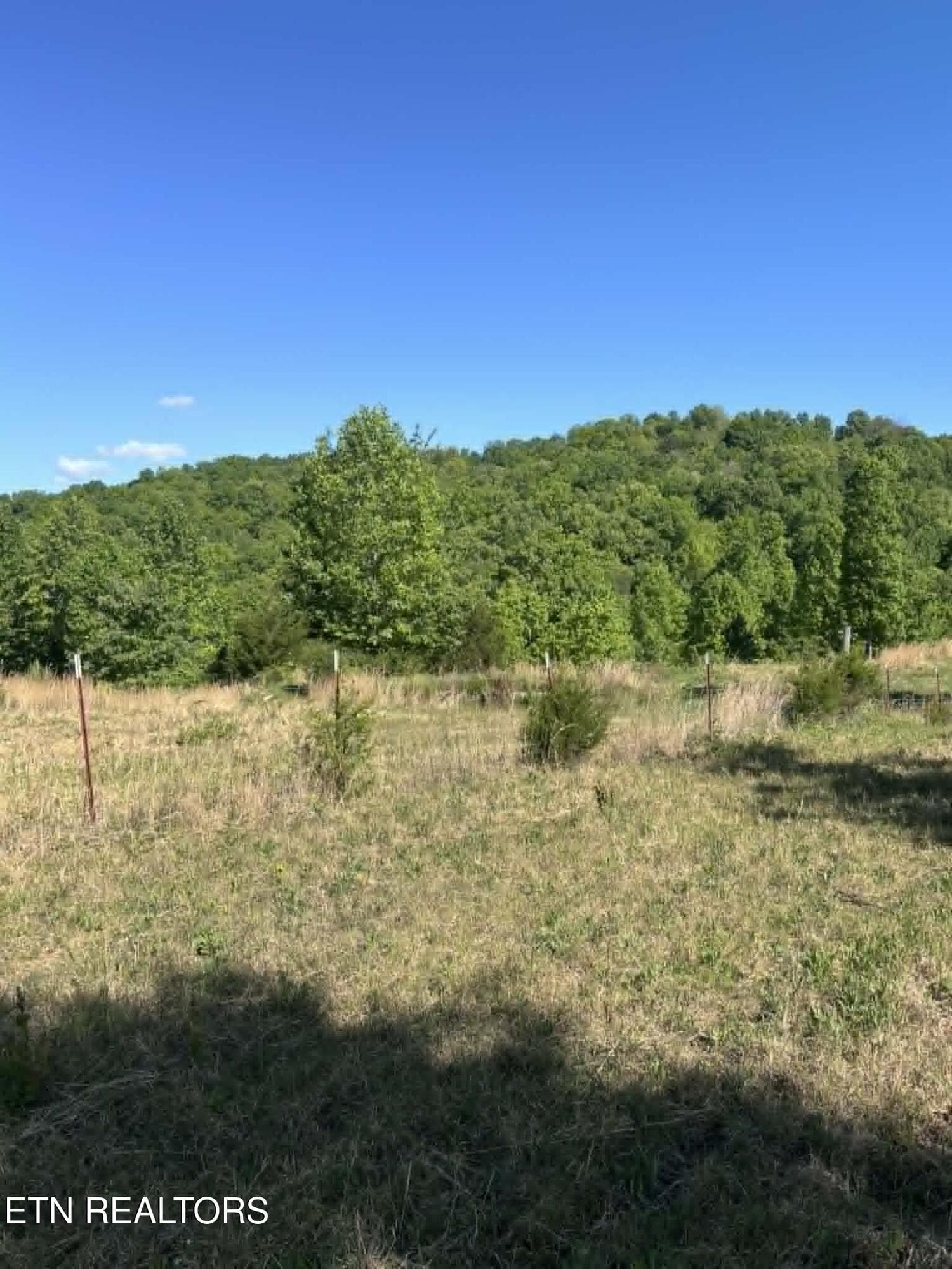 ea834c9f-b245-4aa7-bbed-700ee783138c - 407 Earl Maples Lane, Tazewell, TN 37879, Tazewell