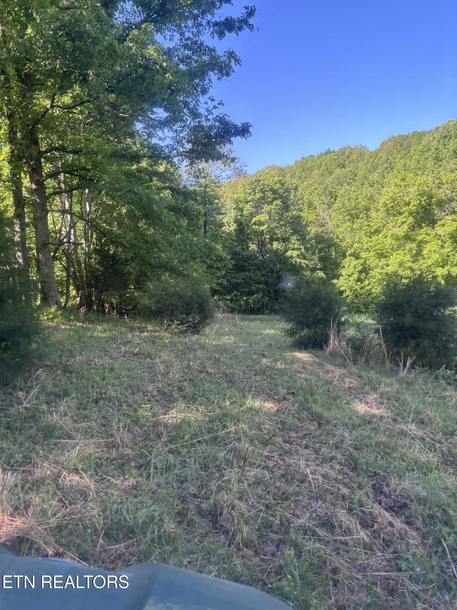 f3902504-bf1e-48b4-9265-e8df1bea6e83 - 407 Earl Maples Lane, Tazewell, TN 37879, Tazewell