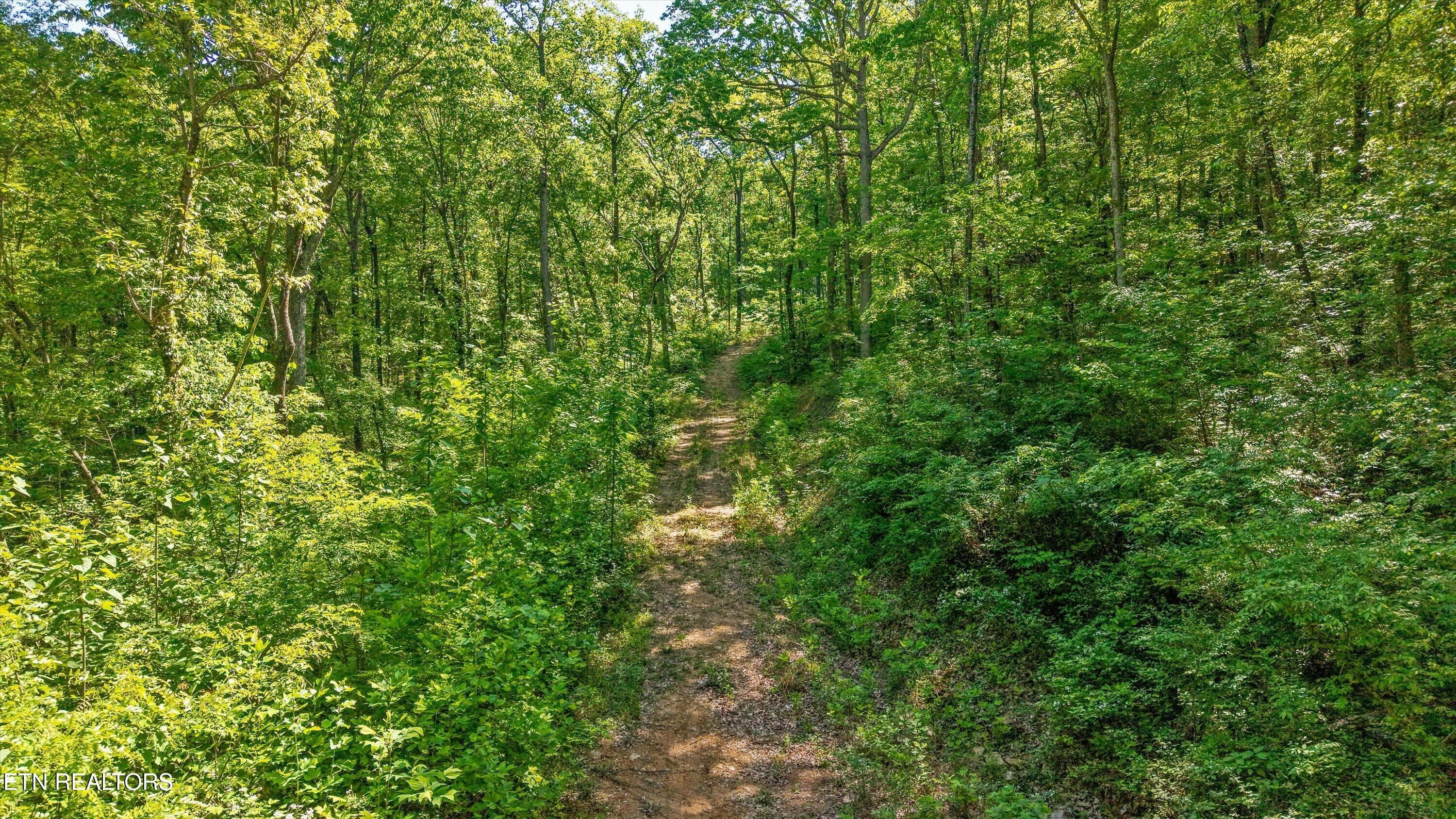 11-Chilhowee Trail Tract 77-01 - 77 & 1-2 Chilhowee Tr, Maryville, TN 37803, Maryville