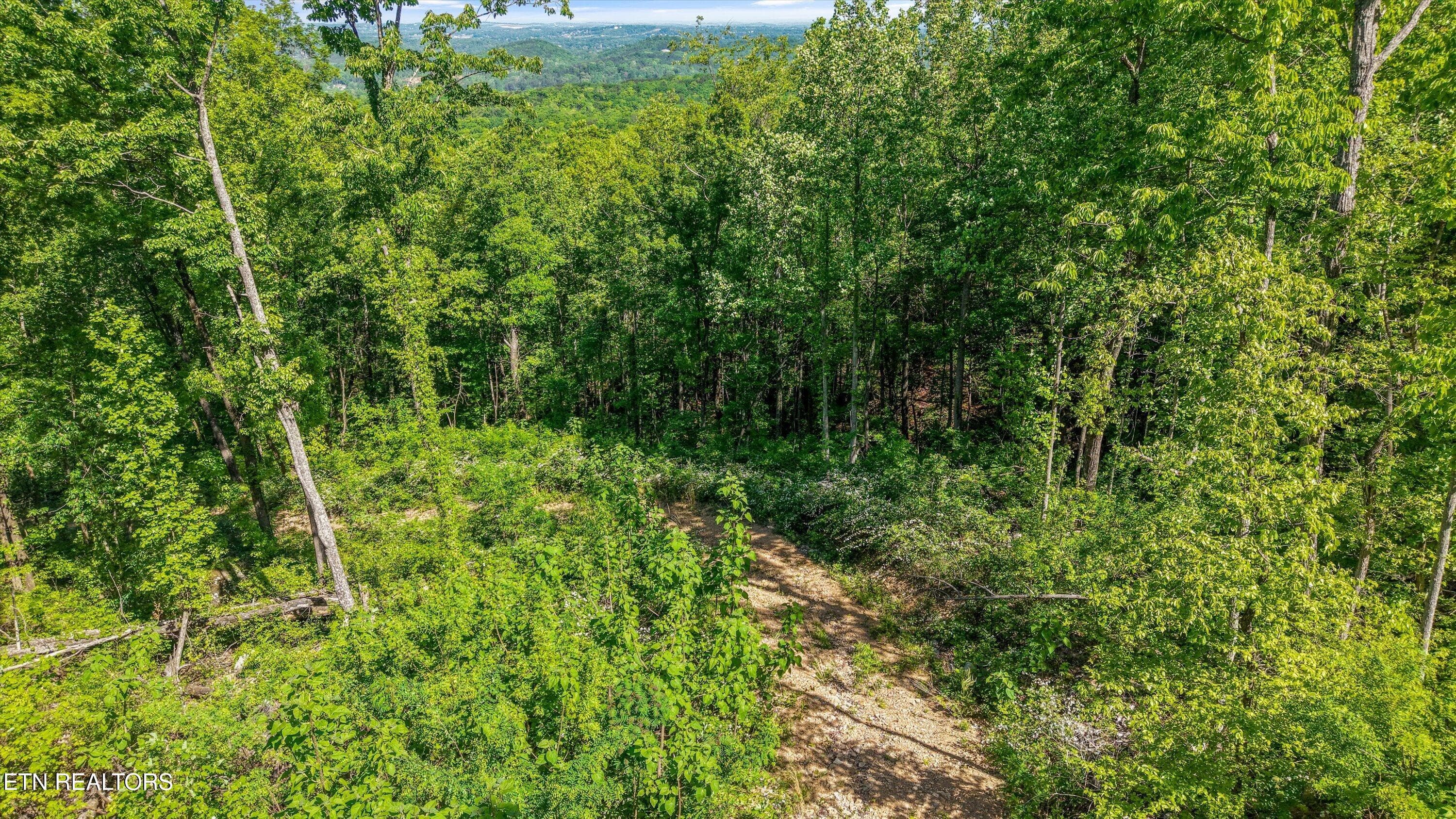13-Chilhowee Trail Tract 77-12 - 77 & 1-2 Chilhowee Tr, Maryville, TN 37803, Maryville