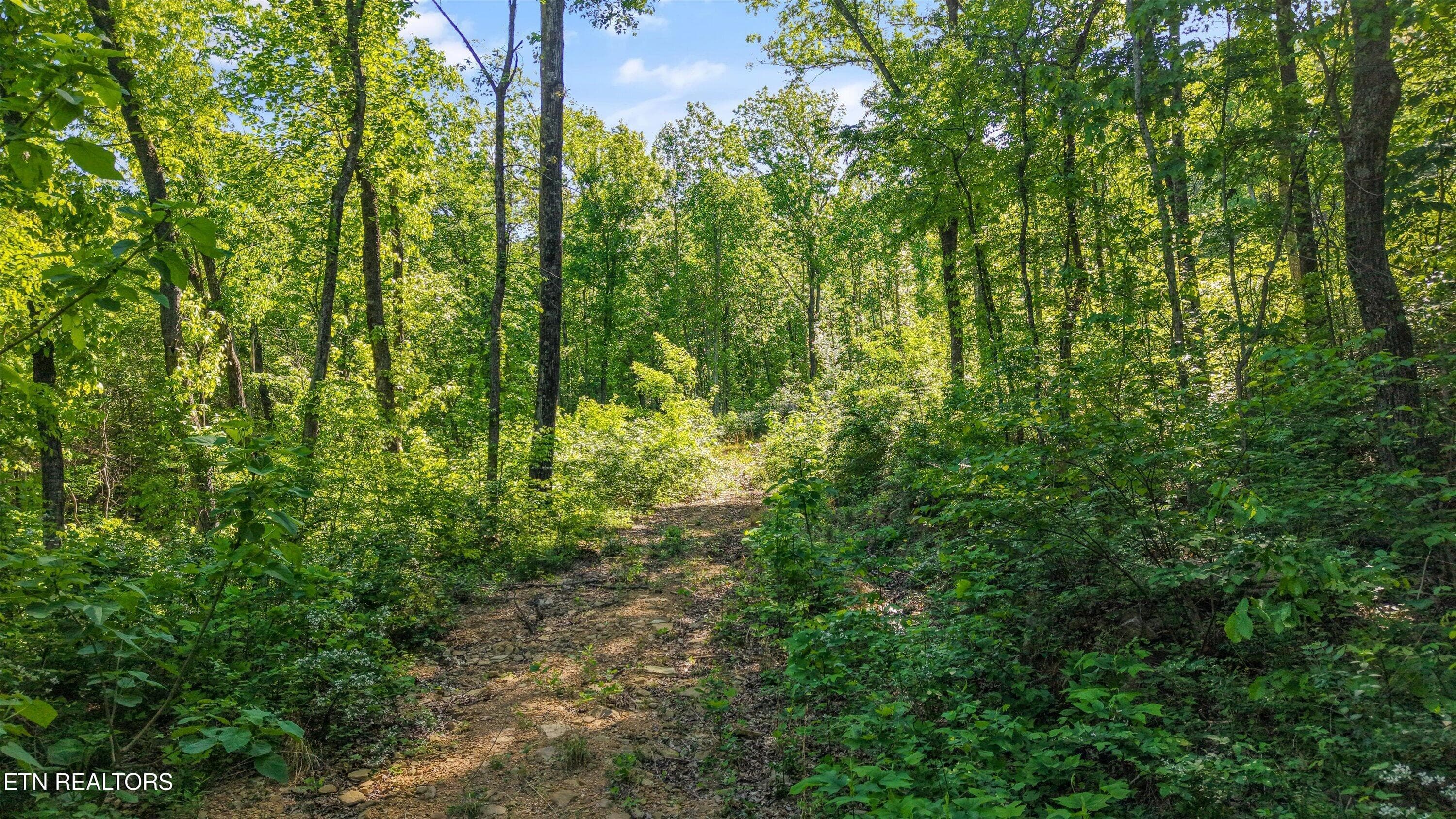 15-Chilhowee Trail Tract 77-15 - 77 & 1-2 Chilhowee Tr, Maryville, TN 37803, Maryville