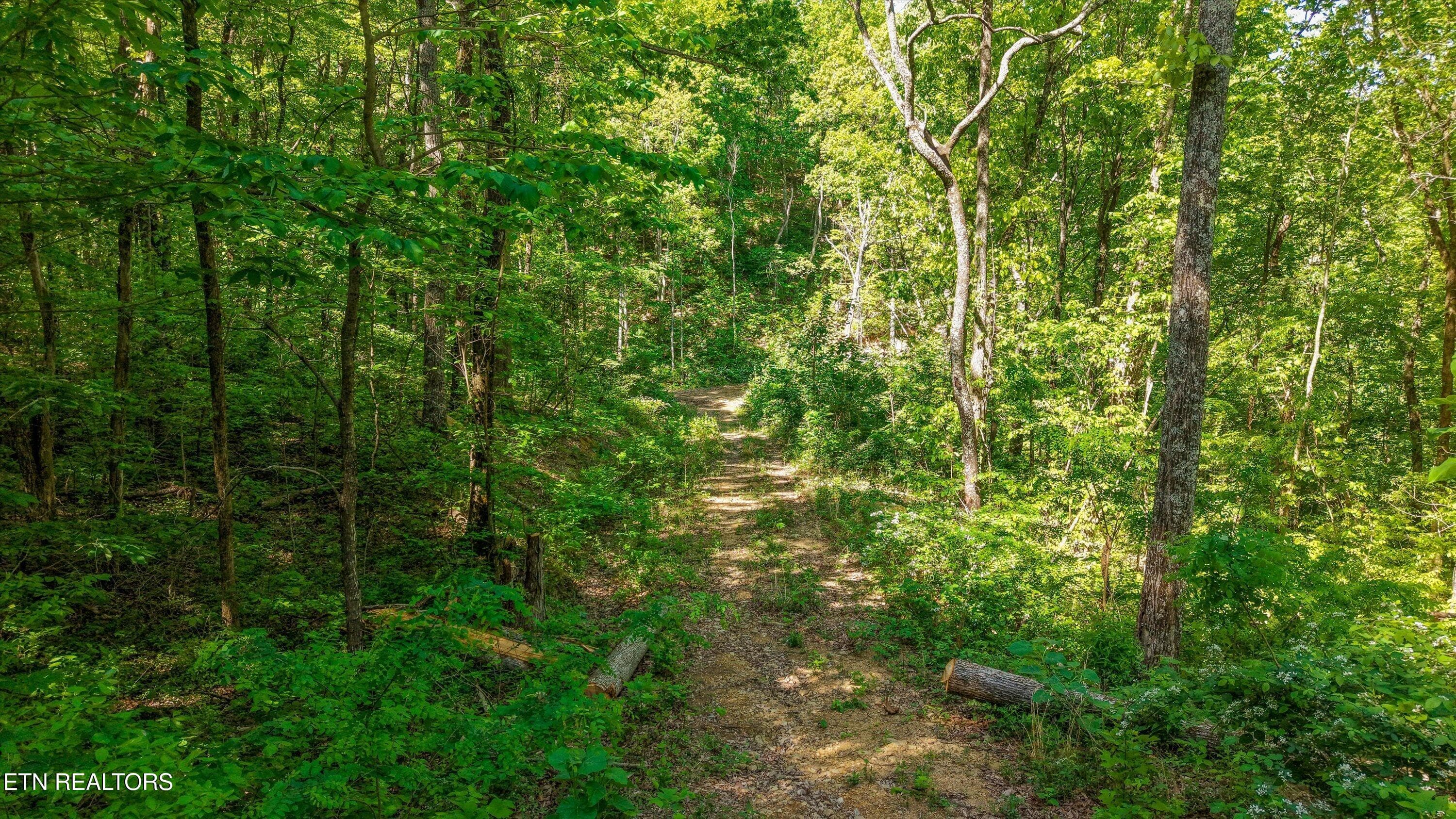 16-Chilhowee Trail Tract 77-16 - 77 & 1-2 Chilhowee Tr, Maryville, TN 37803, Maryville