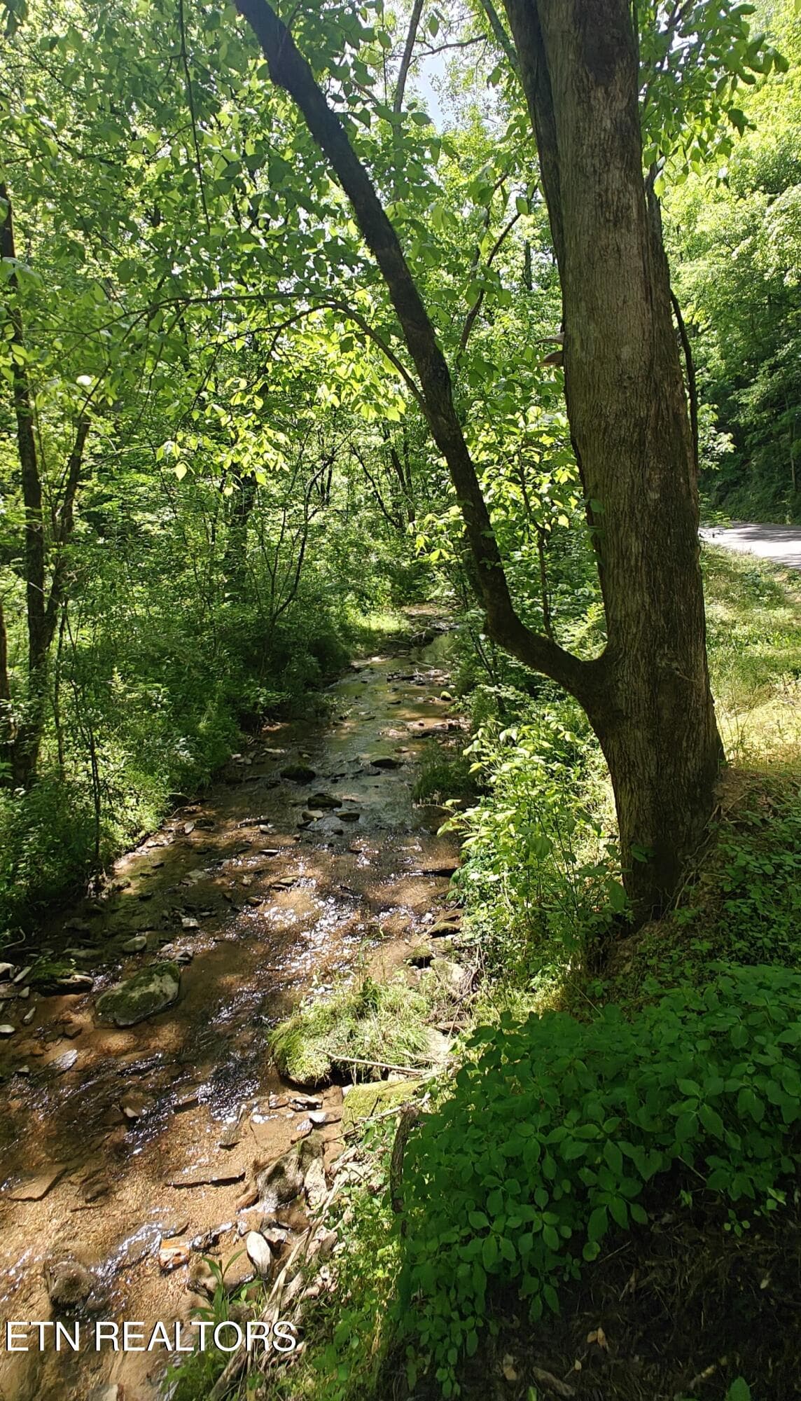 206CaneyCk1 - 206 Caney Creek Rd, Pigeon Forge, TN 37863