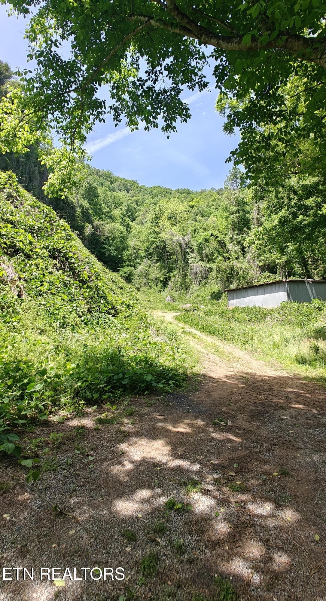 206Caneyck2 - 206 Caney Creek Rd, Pigeon Forge, TN 37863