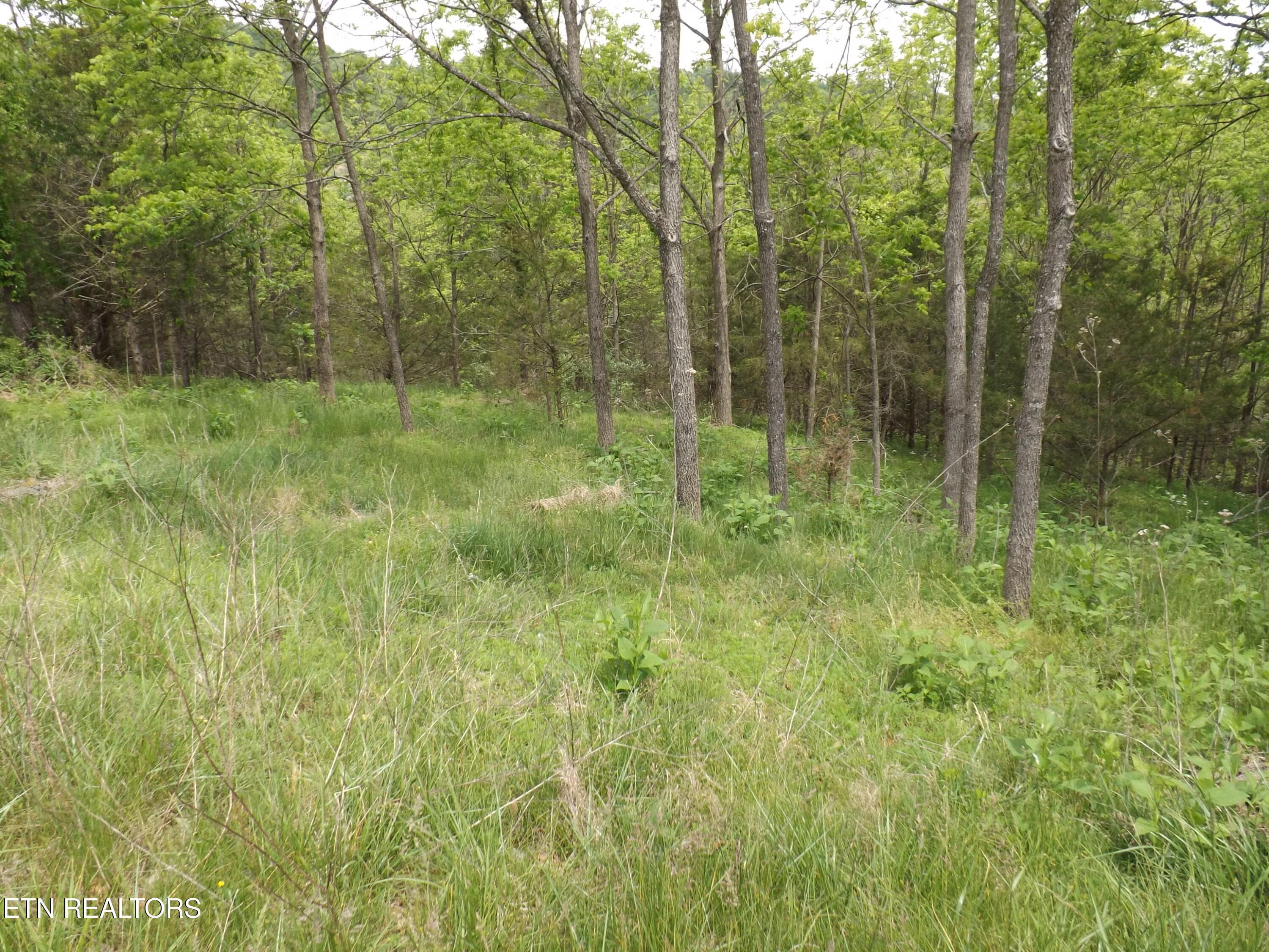 DSCF3966 - 410 Cumberland Estates Rd, Cumberland Gap, TN 37724, Cumberland Gap