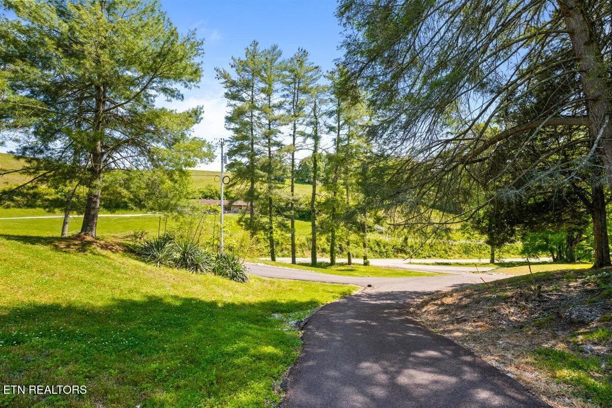 34-542 Whitman Hollow Rd - 542 Whitman Hollow Rd, LaFollette, TN 37766