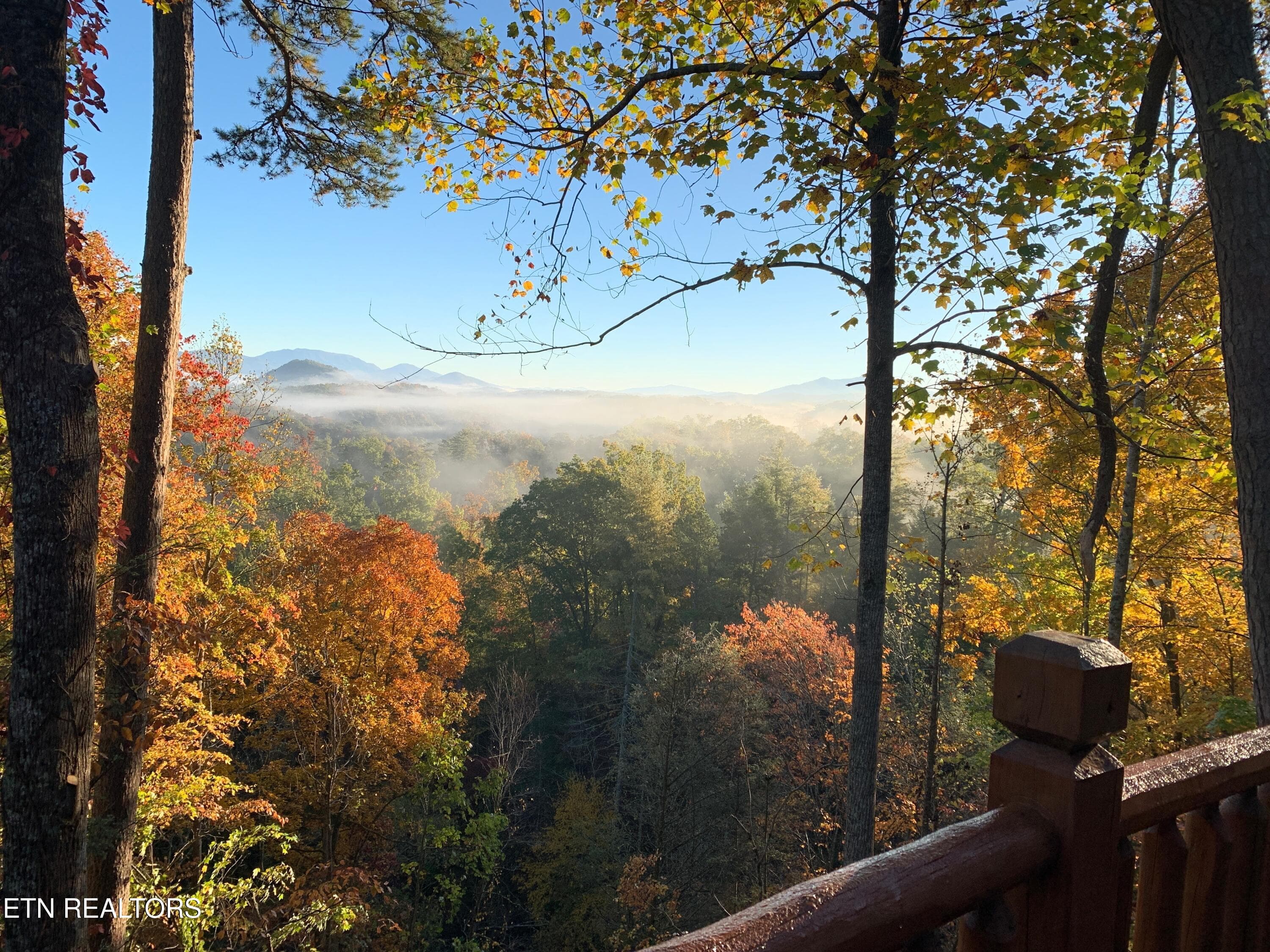 IMG_2206 - 1226 Serenity Lane, Sevierville, TN 37876