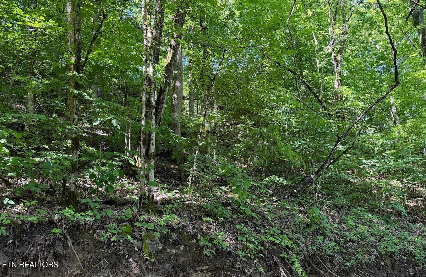 SC Land 12 - 0 Spring Creek Rd, Cookeville, TN 38501