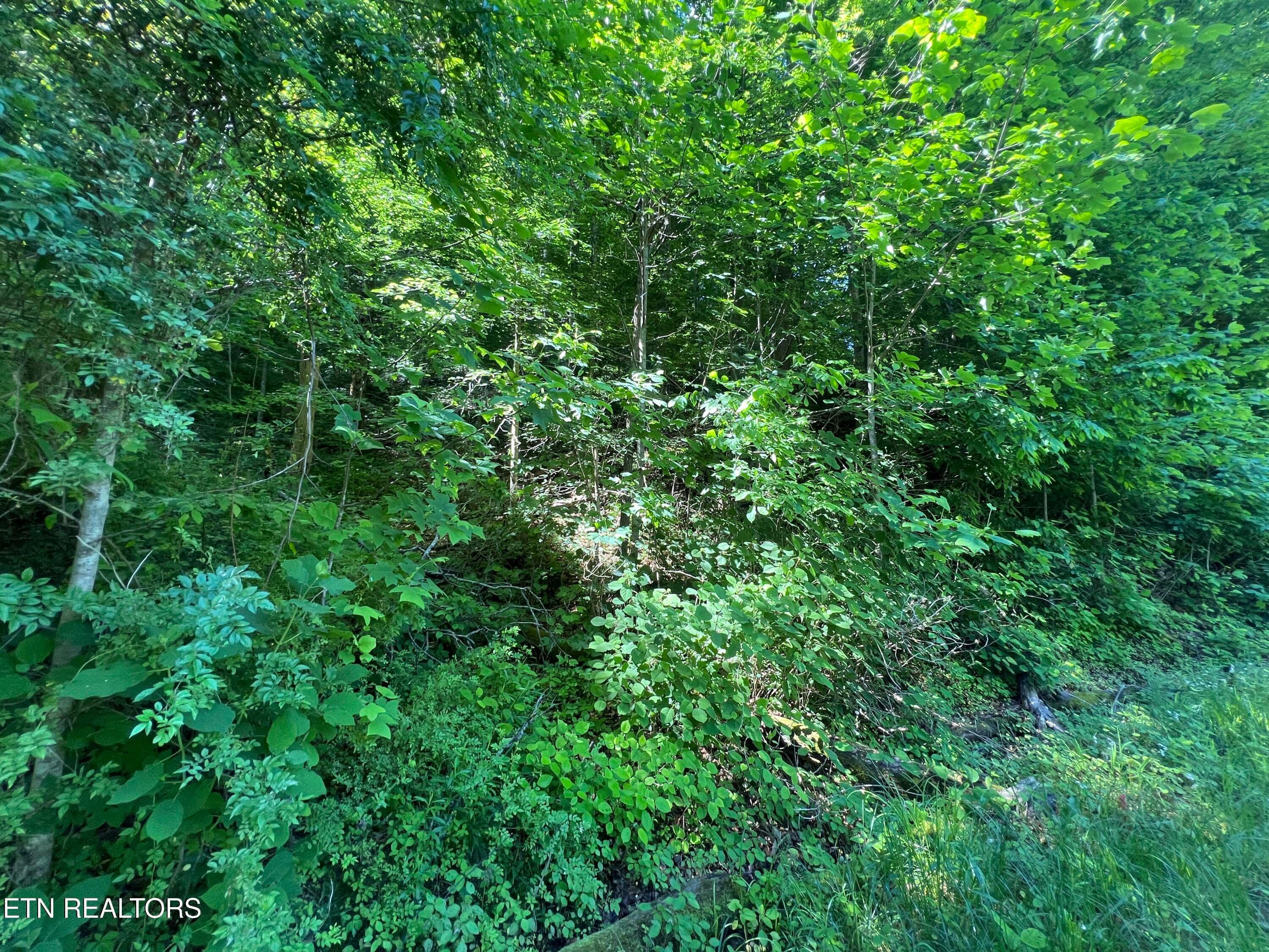 IMG_8412 - Apache Rd, Jamestown, TN 38556