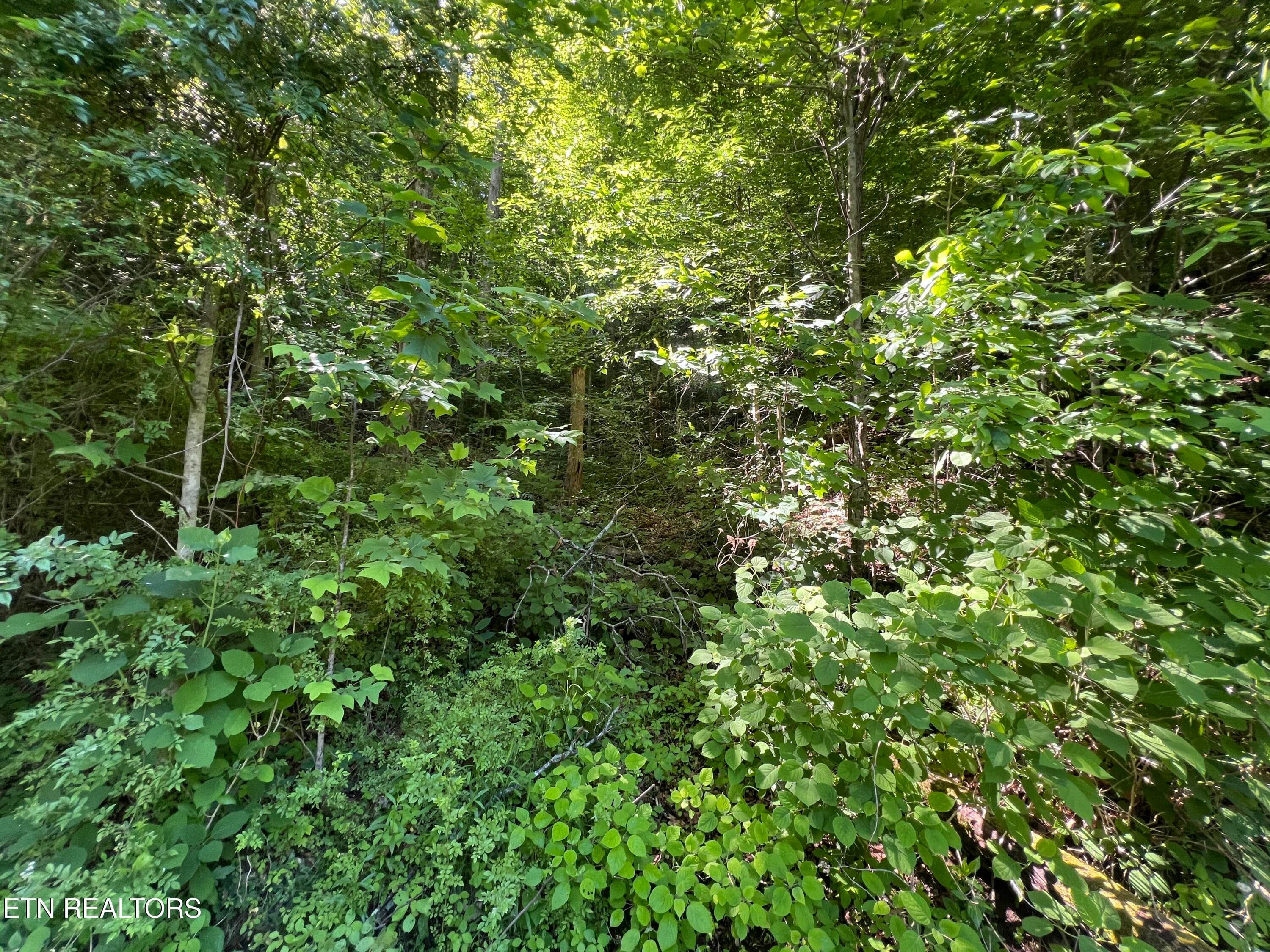 IMG_8413 - Apache Rd, Jamestown, TN 38556