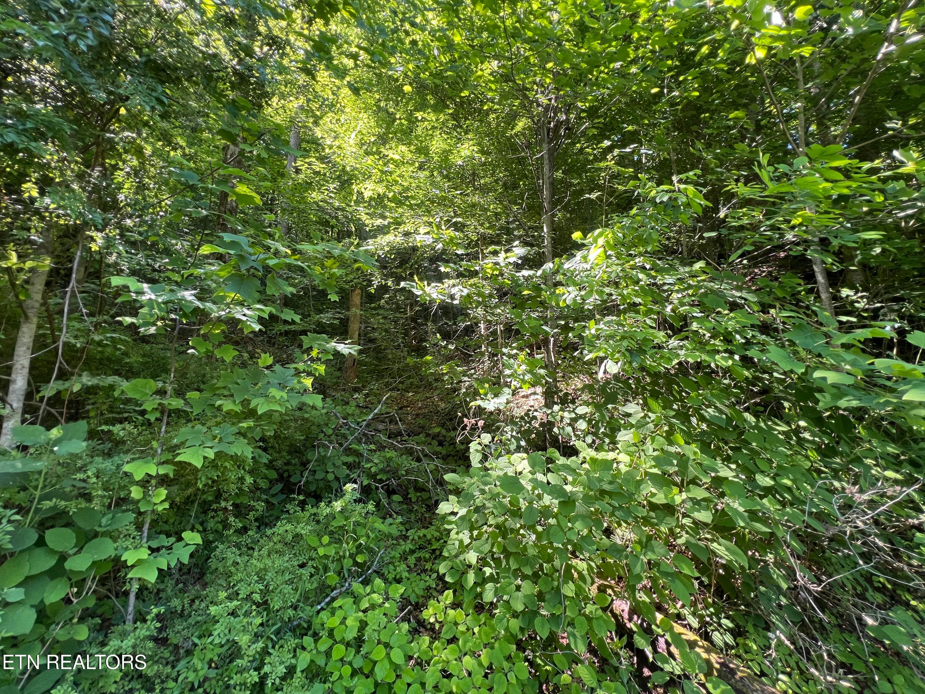 IMG_8415 - Apache Rd, Jamestown, TN 38556
