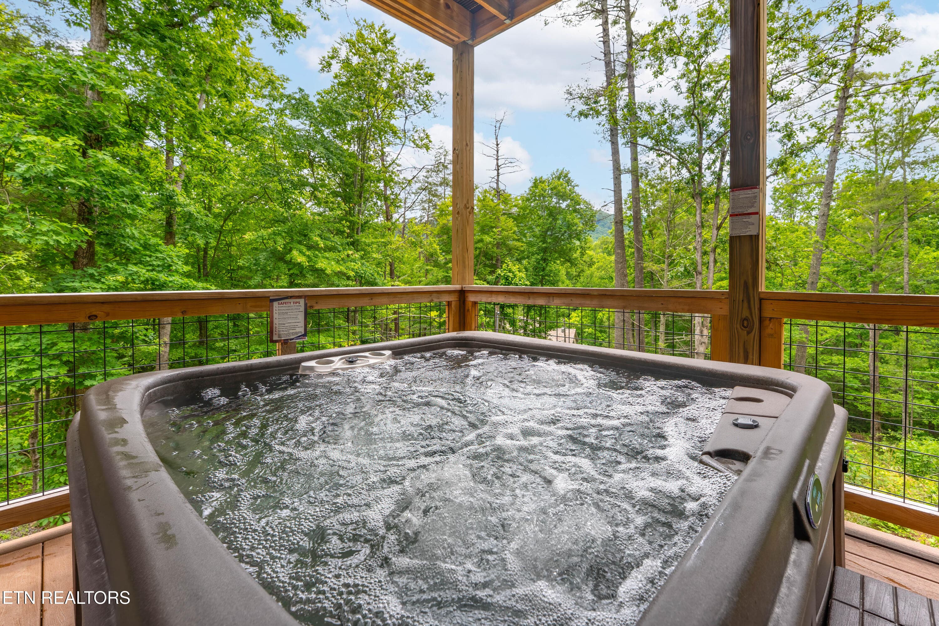 _DSC2174-HDR-Edit-Edit - 2932 Ginas Way, Sevierville, TN 37862, Sevierville
