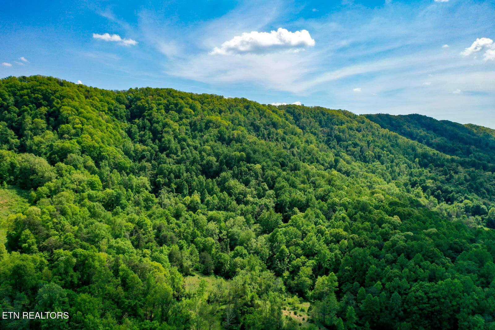 18 - 6259 Tennessee 131, Washburn, TN 37888, Washburn
