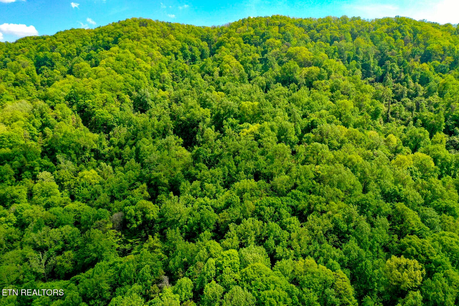 21 - 6259 Tennessee 131, Washburn, TN 37888, Washburn
