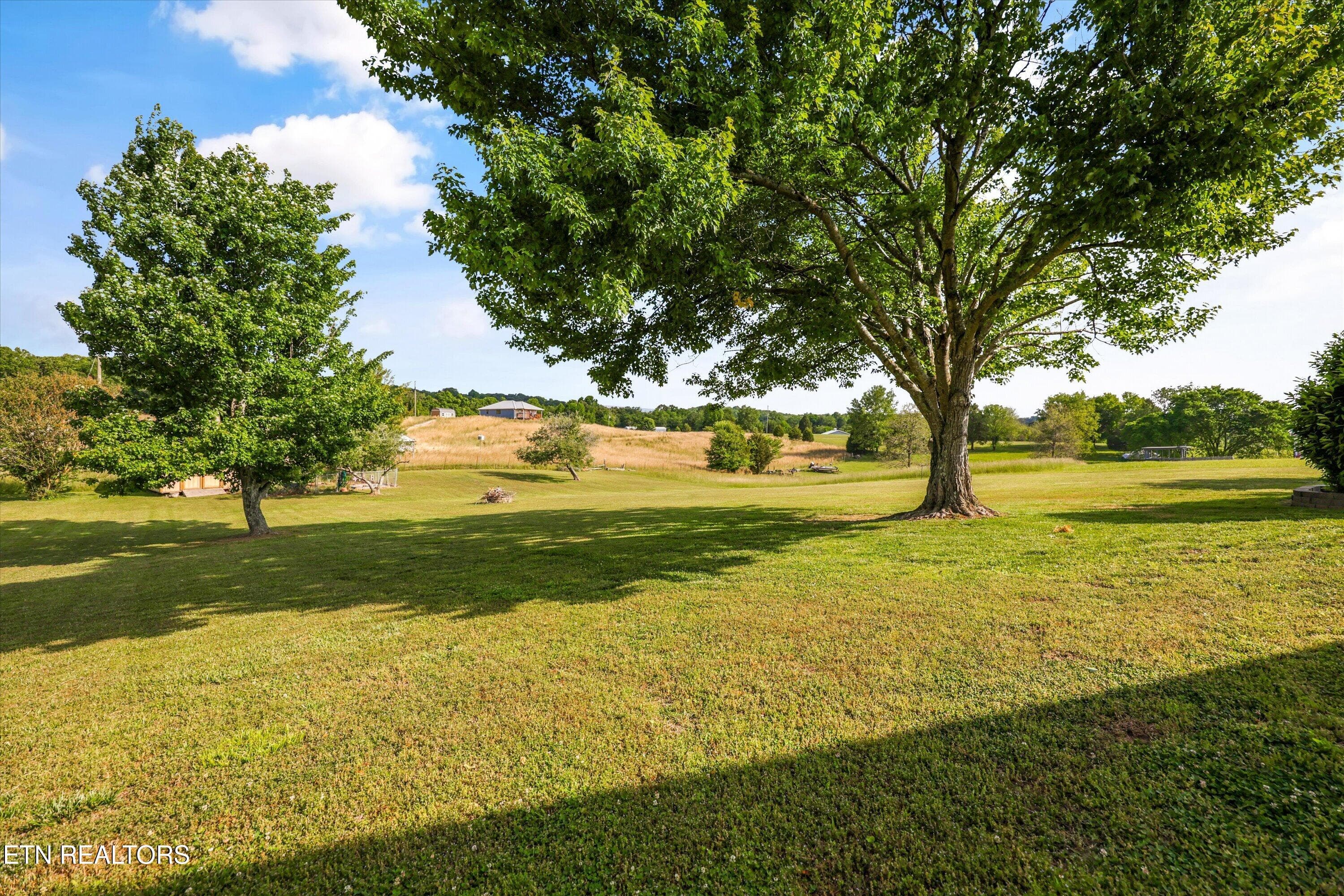 Back yard - 1167 Sable Rd, Spring City, TN 37381, Spring City