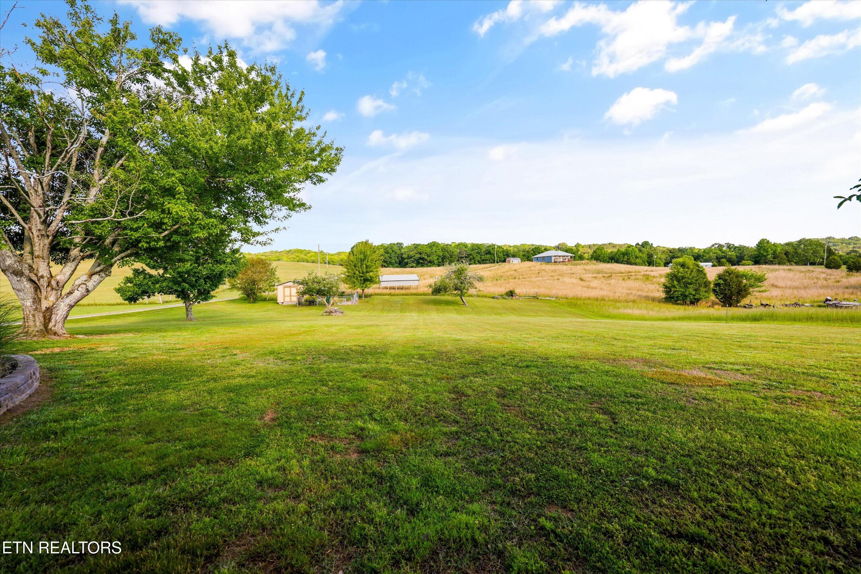 Back yard - 1167 Sable Rd, Spring City, TN 37381, Spring City