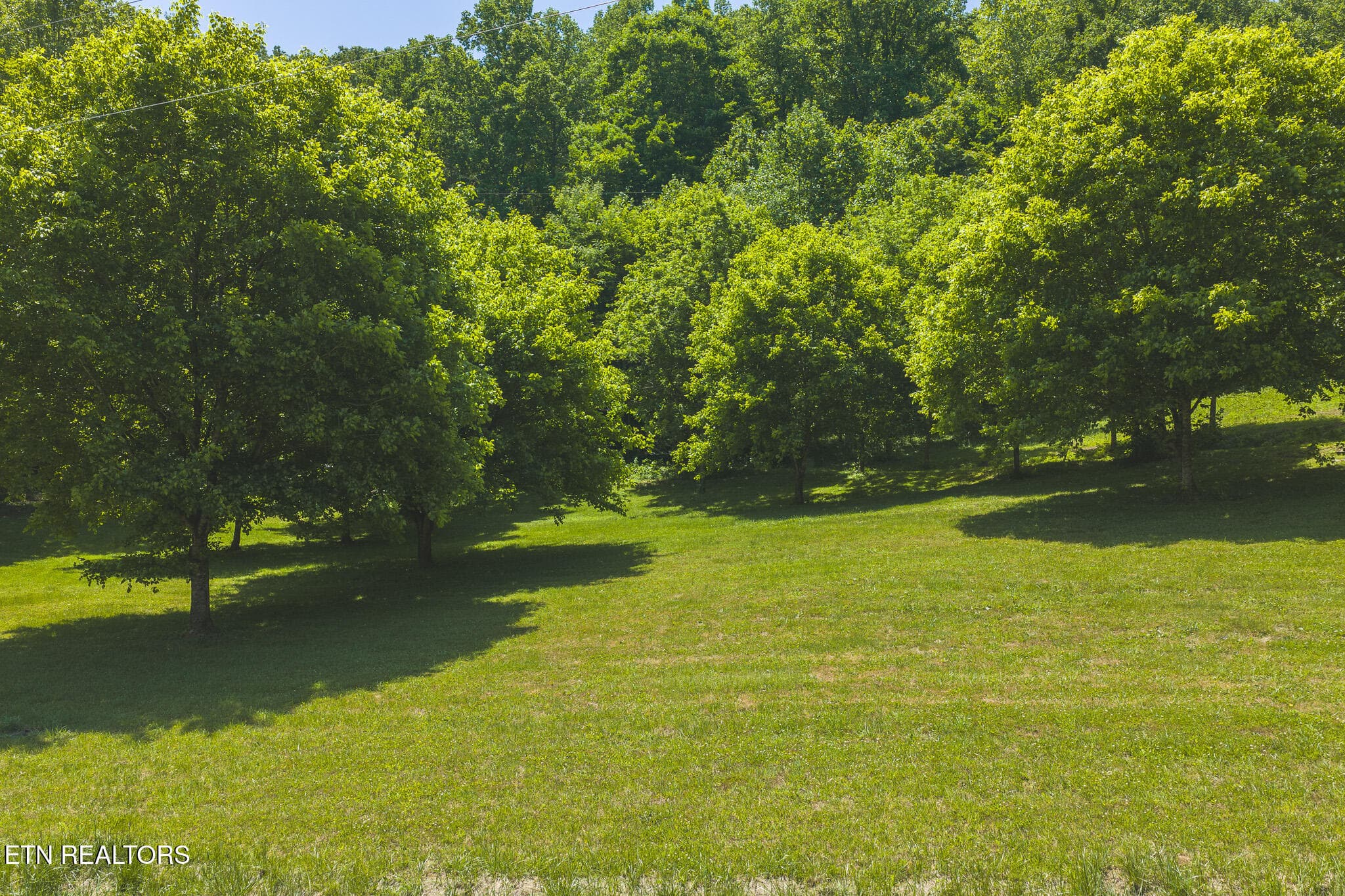 DJI_20260513132103_0018_D - 622 Earls Hollow Rd, Speedwell, TN 37870, Speedwell