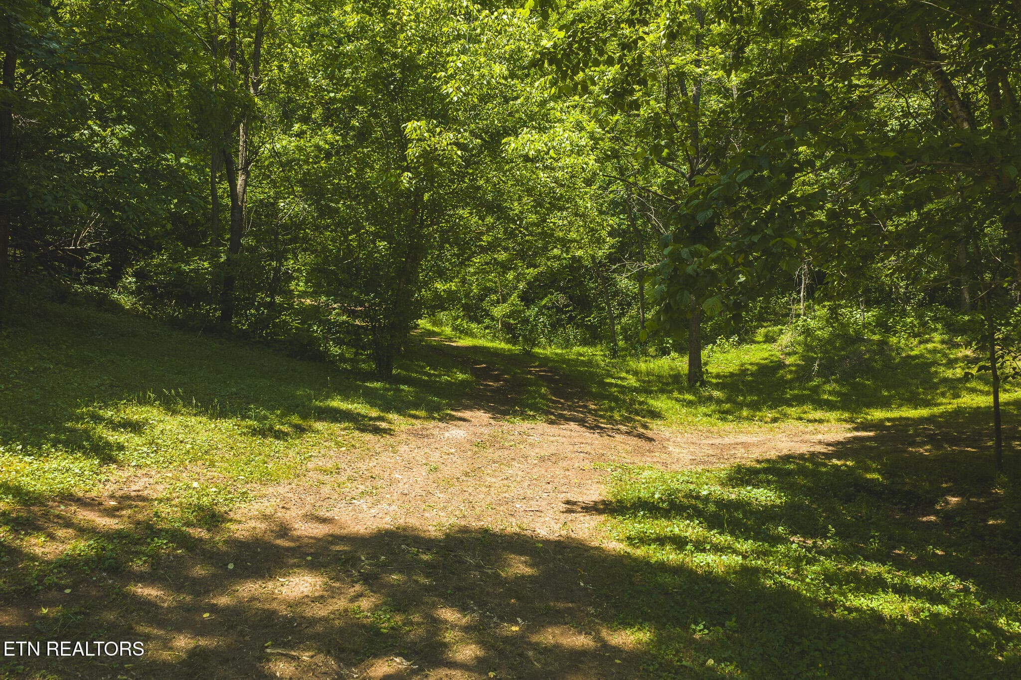 DJI_20260513133709_0040_D - 622 Earls Hollow Rd, Speedwell, TN 37870, Speedwell