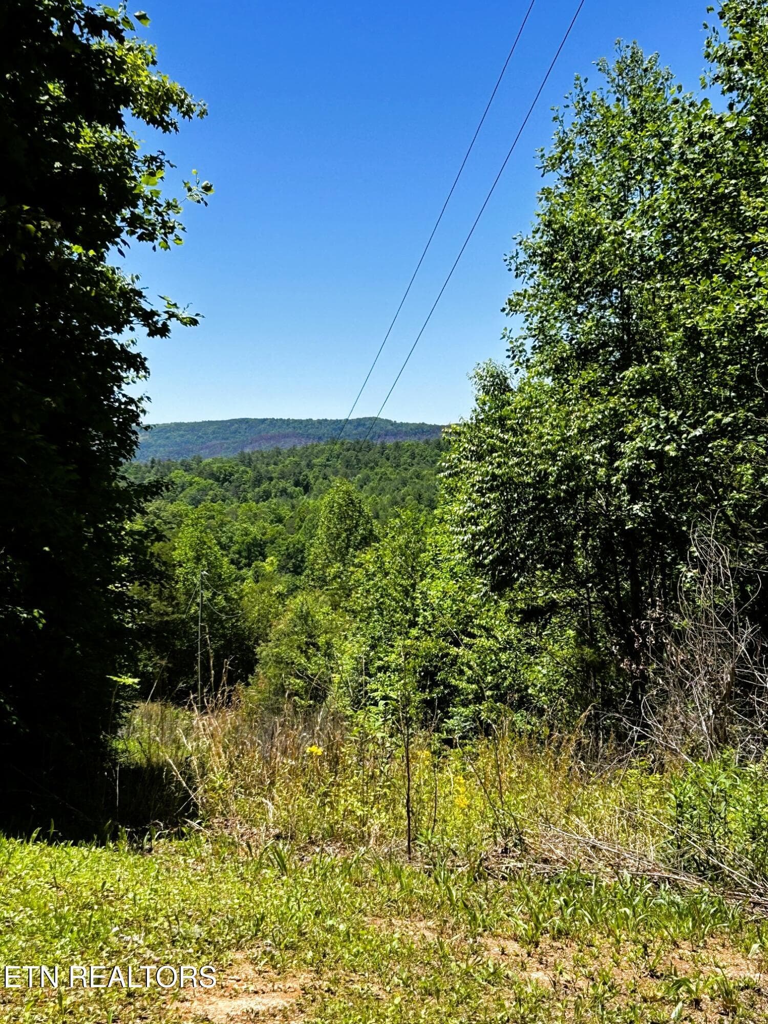 willie views1 - 161 Willie Shell Rd, Reliance, TN 37369