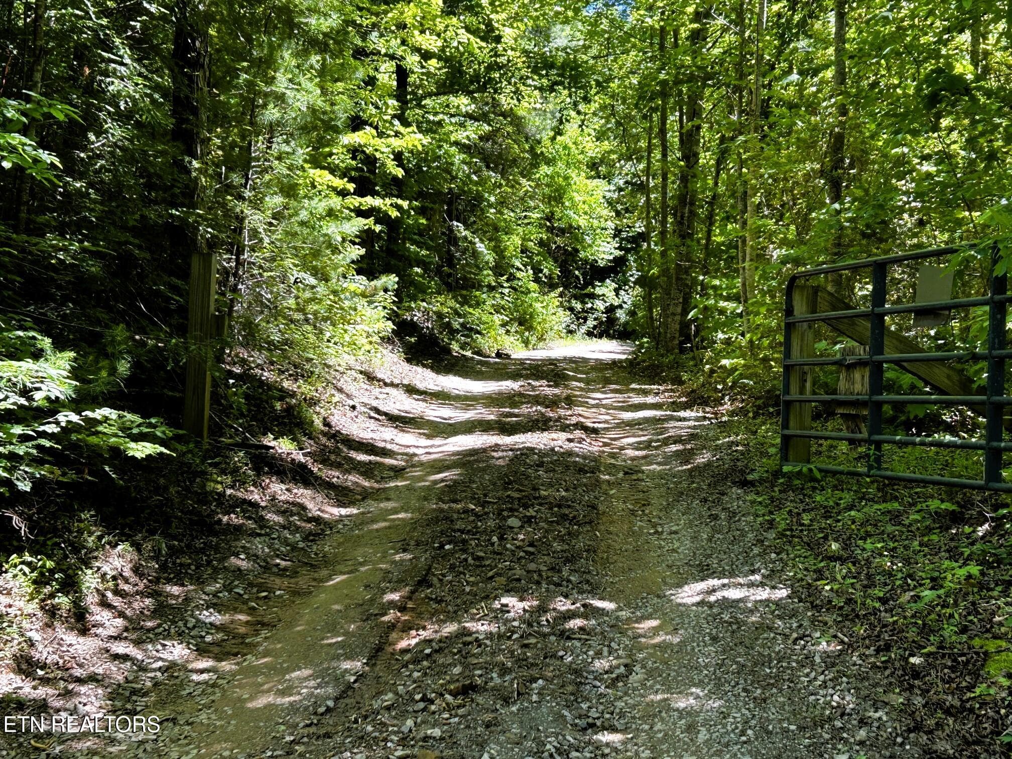 willie gated entry - 161 Willie Shell Rd, Reliance, TN 37369