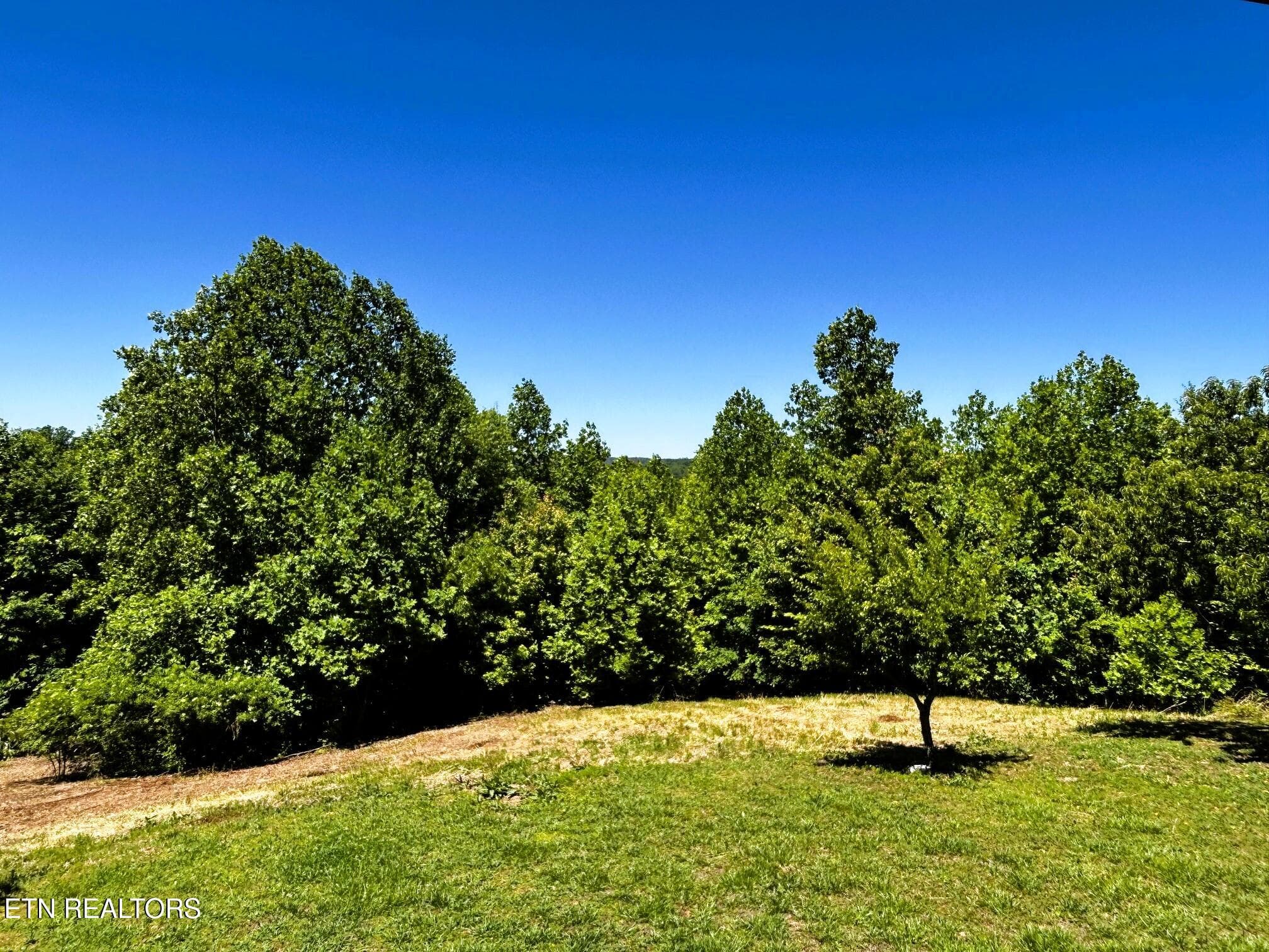 willie shell views - 161 Willie Shell Rd, Reliance, TN 37369