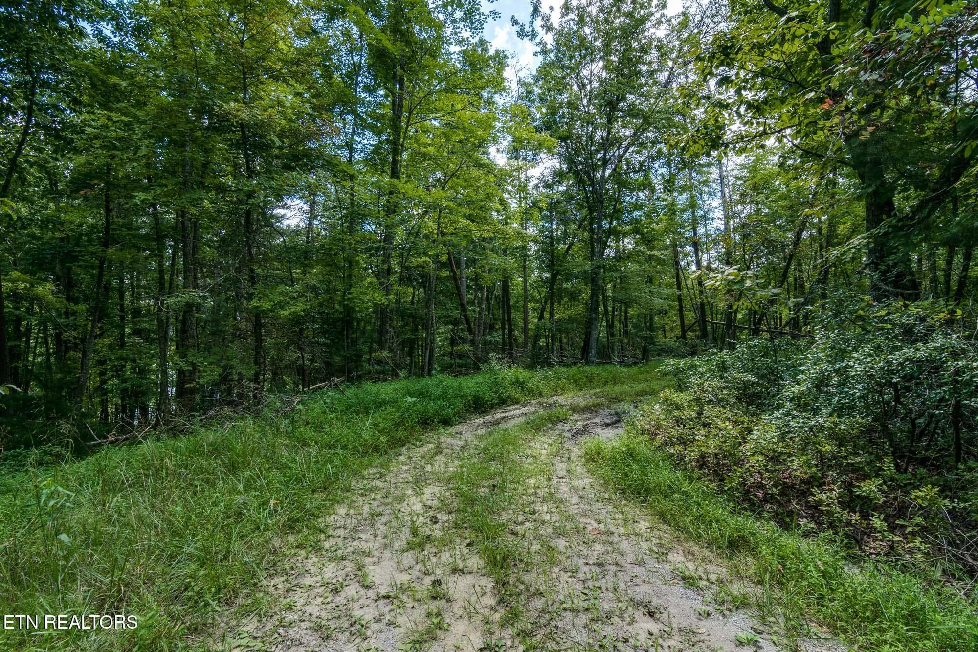 LAKERIDGE - 22 Lakeridge Terrace, Fairfield Glade, TN 38558