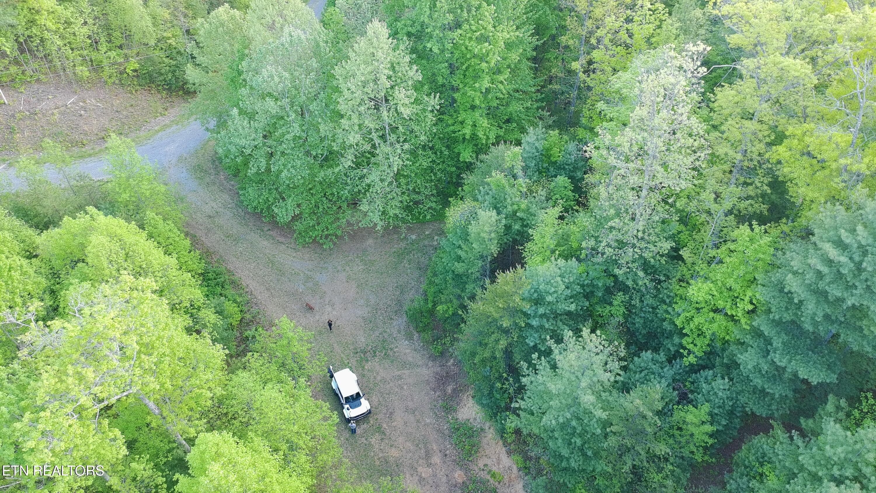 Aerial at The Cherokee National Forest! - Lot 41 Black Maple Way, Del Rio, TN 37727, Del Rio