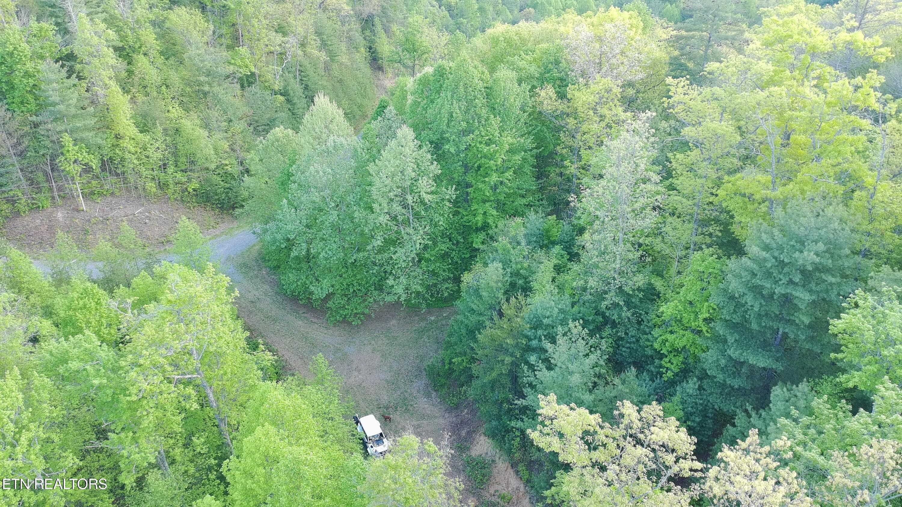 Aerial at The Cherokee National Forest! - Lot 41 Black Maple Way, Del Rio, TN 37727, Del Rio