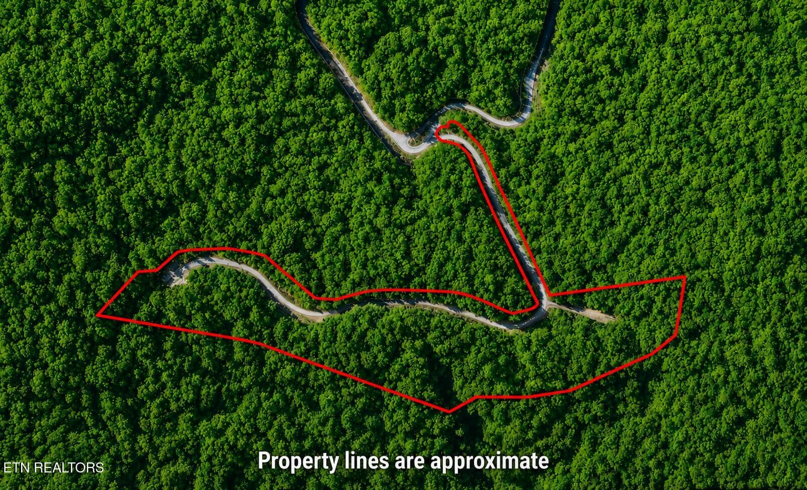Aerial view of property - Lot 41 Black Maple Way, Del Rio, TN 37727, Del Rio