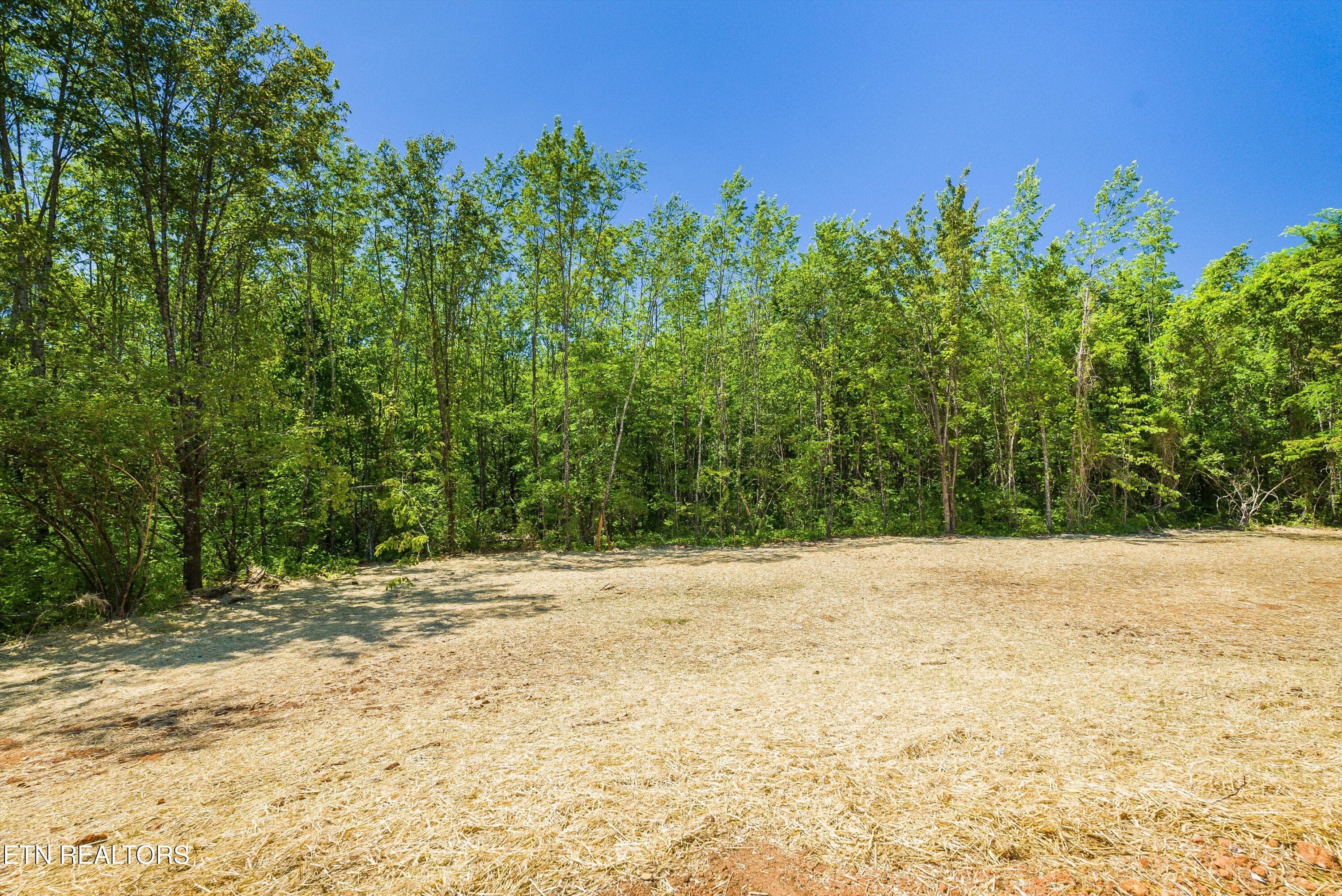 38-1038SLinden-38 - 1038 N Linden Drive, Alcoa, TN 37701, Alcoa
