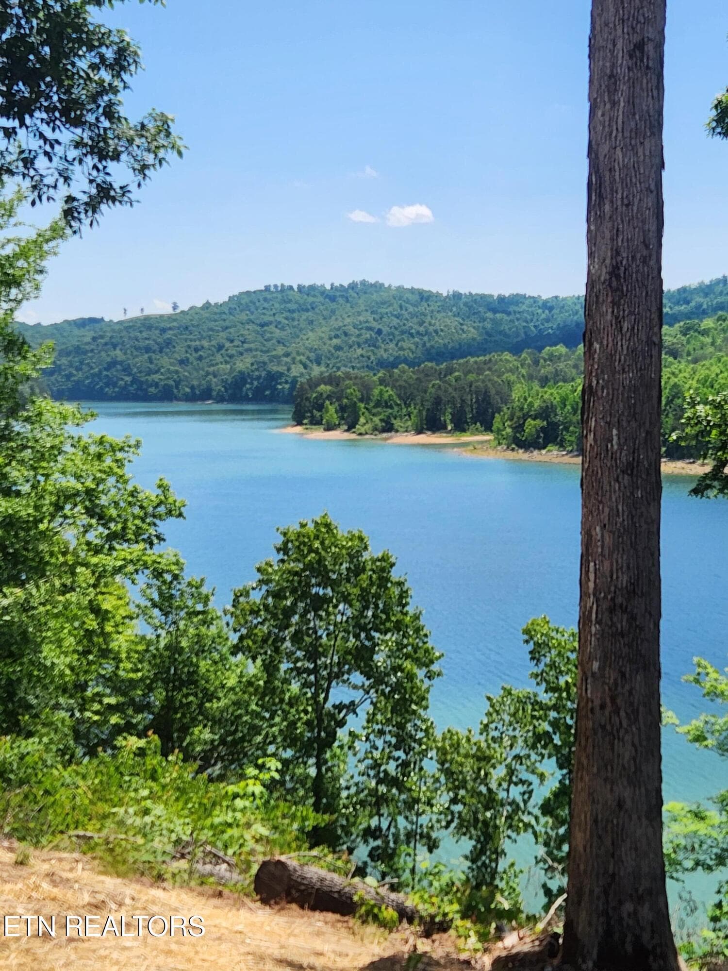 hentnick 1 - 155 Island Rd, New Tazewell, TN 37825