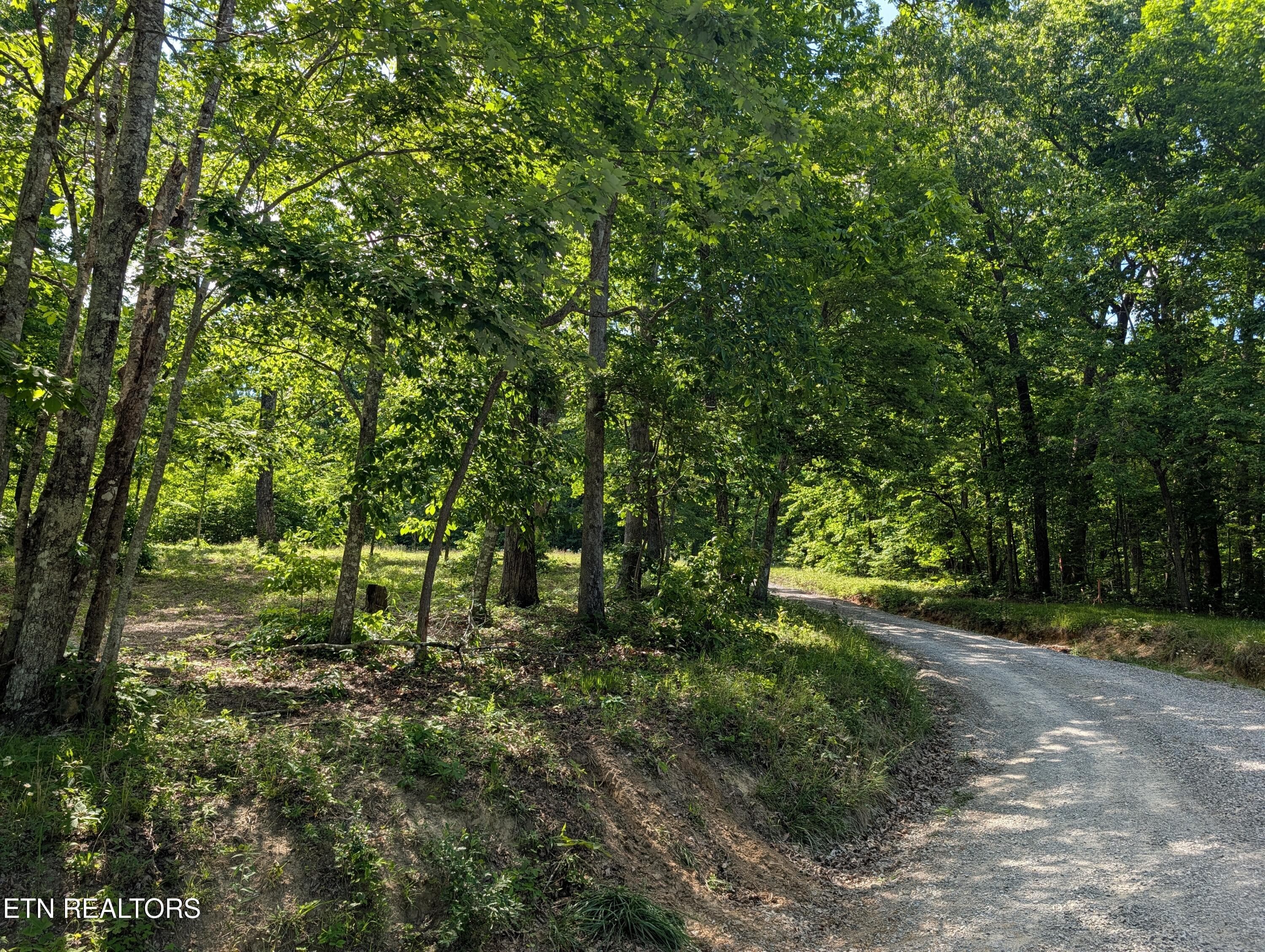 PXL_20260518_204714078 - Lot 94/95 Red Oak Lane, Spring City, TN 37381