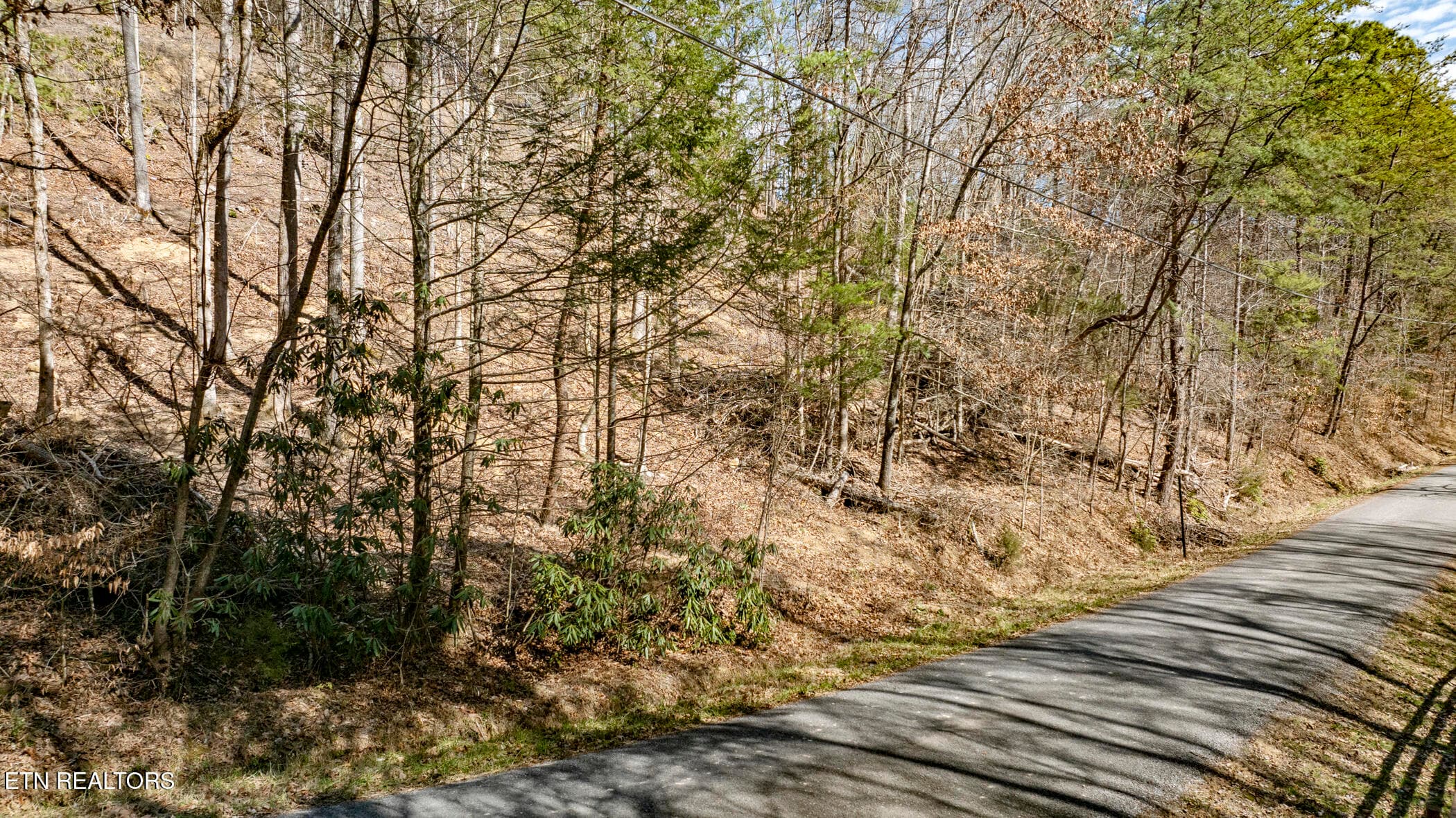 COVE HOLLOW 1 - 272 Cove Hollow Rd, Cosby, TN 37722, Cosby