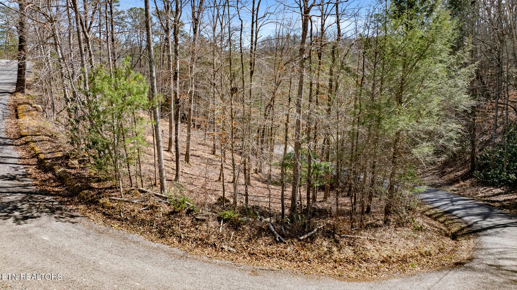 COVE HOLLOW 2 - 272 Cove Hollow Rd, Cosby, TN 37722, Cosby