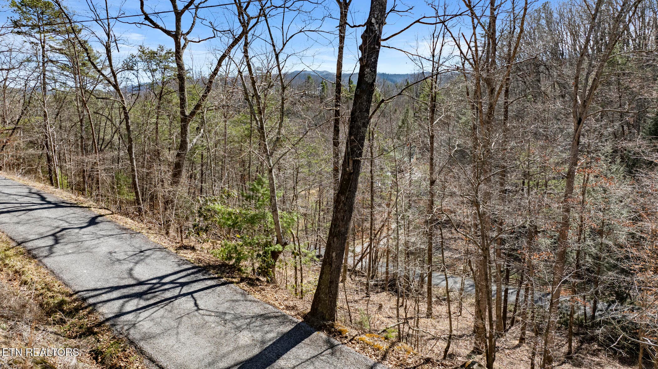 COVE HOLLOW 3 - 272 Cove Hollow Rd, Cosby, TN 37722, Cosby