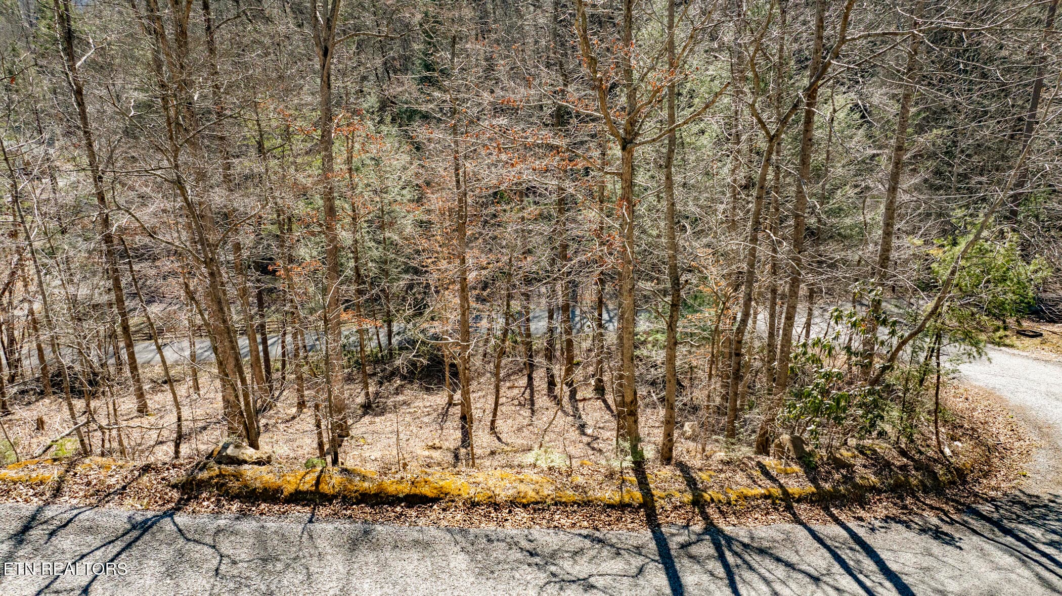 COVE HOLLOW 4 - 272 Cove Hollow Rd, Cosby, TN 37722, Cosby