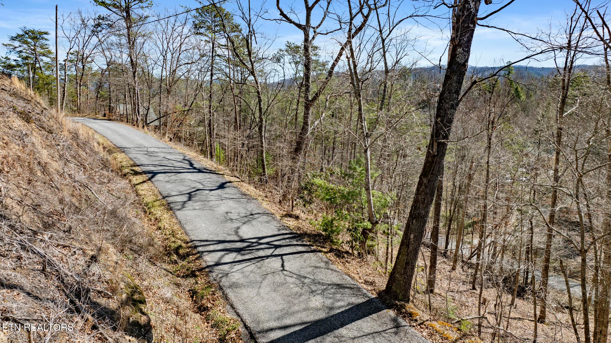 COVE HOLLOW 5 - 272 Cove Hollow Rd, Cosby, TN 37722, Cosby